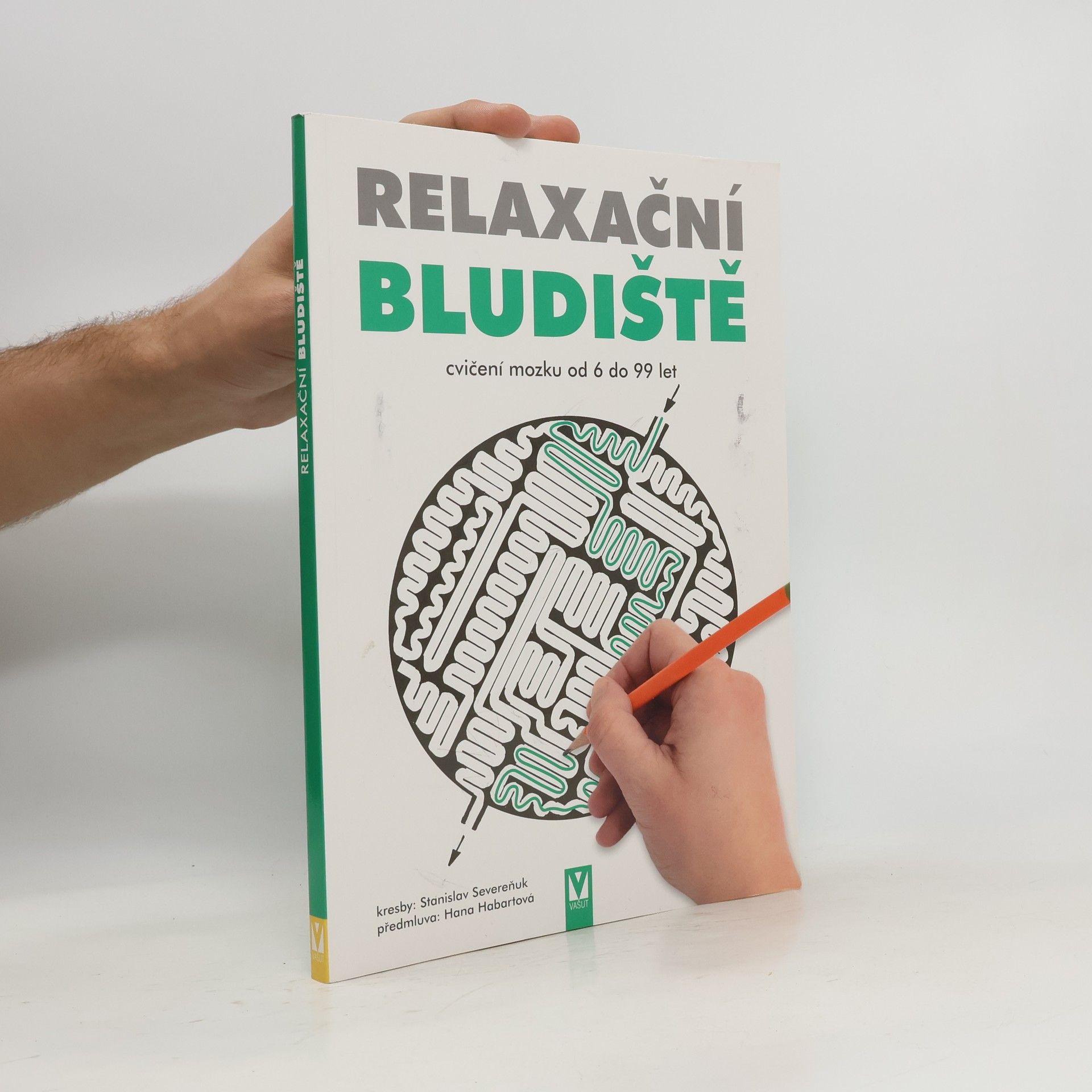 Stanislav Severeňuk Relaxační bludiště – kruh