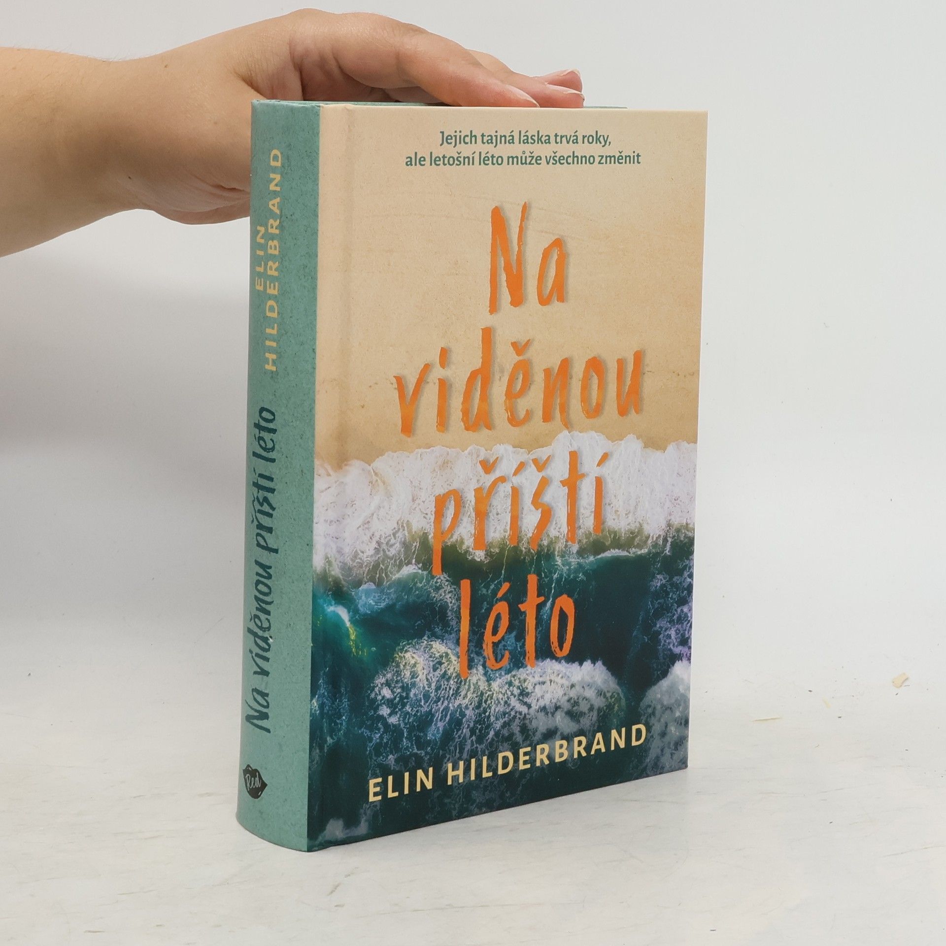 Elin Hilderbrand Na viděnou příští léto
