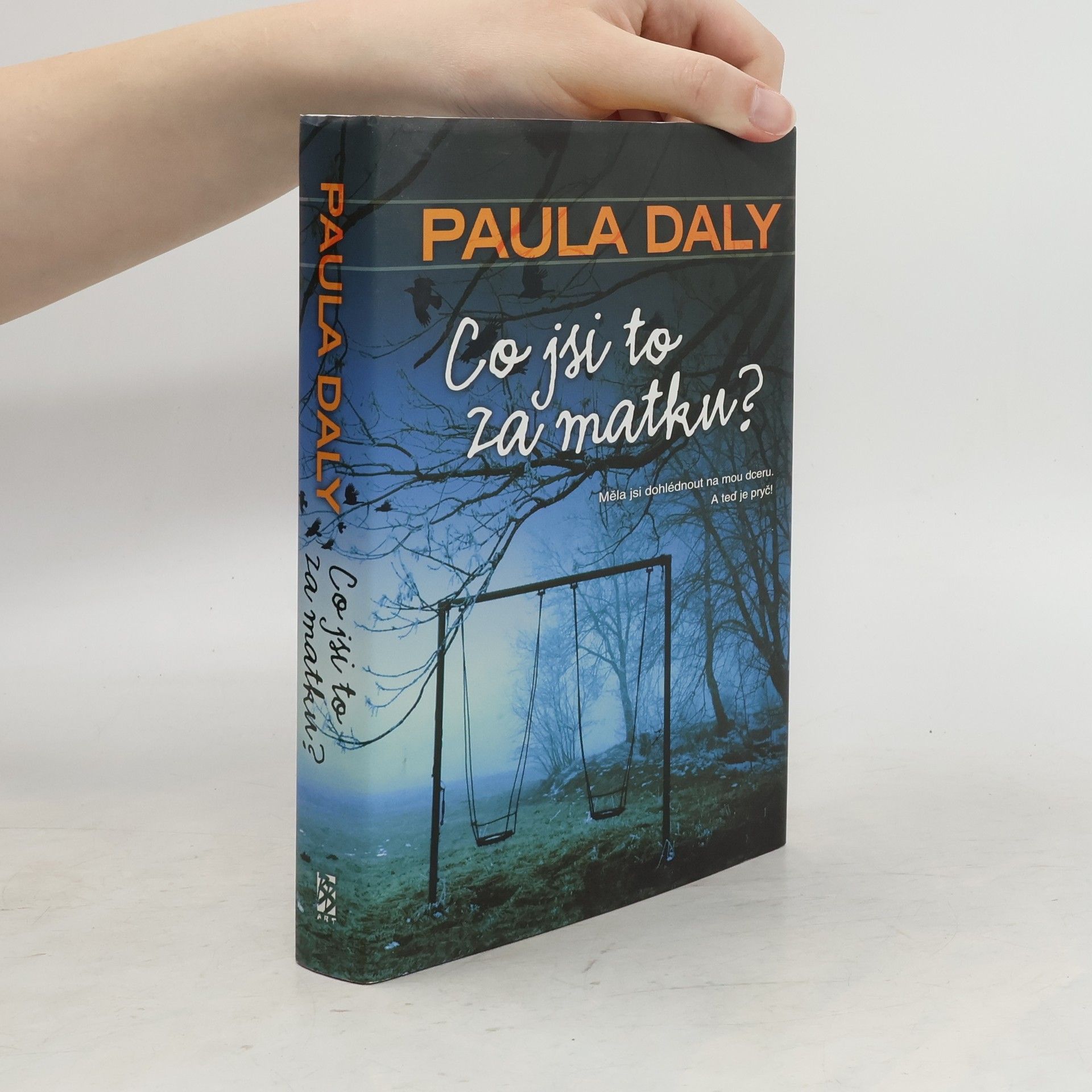 Paula Daly Co jsi to za matku?