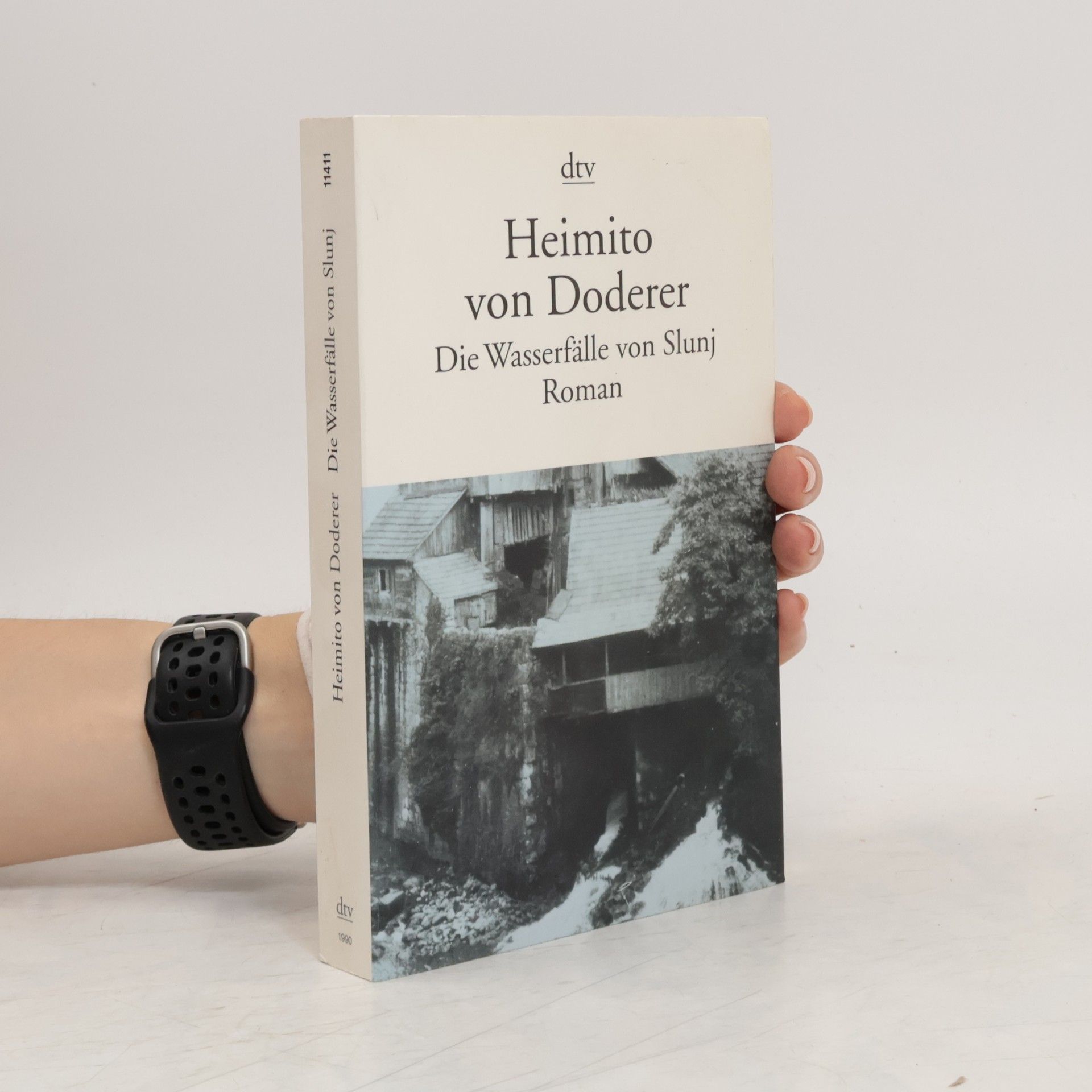 Heimito von Doderer Die Wasserfälle von Slunj