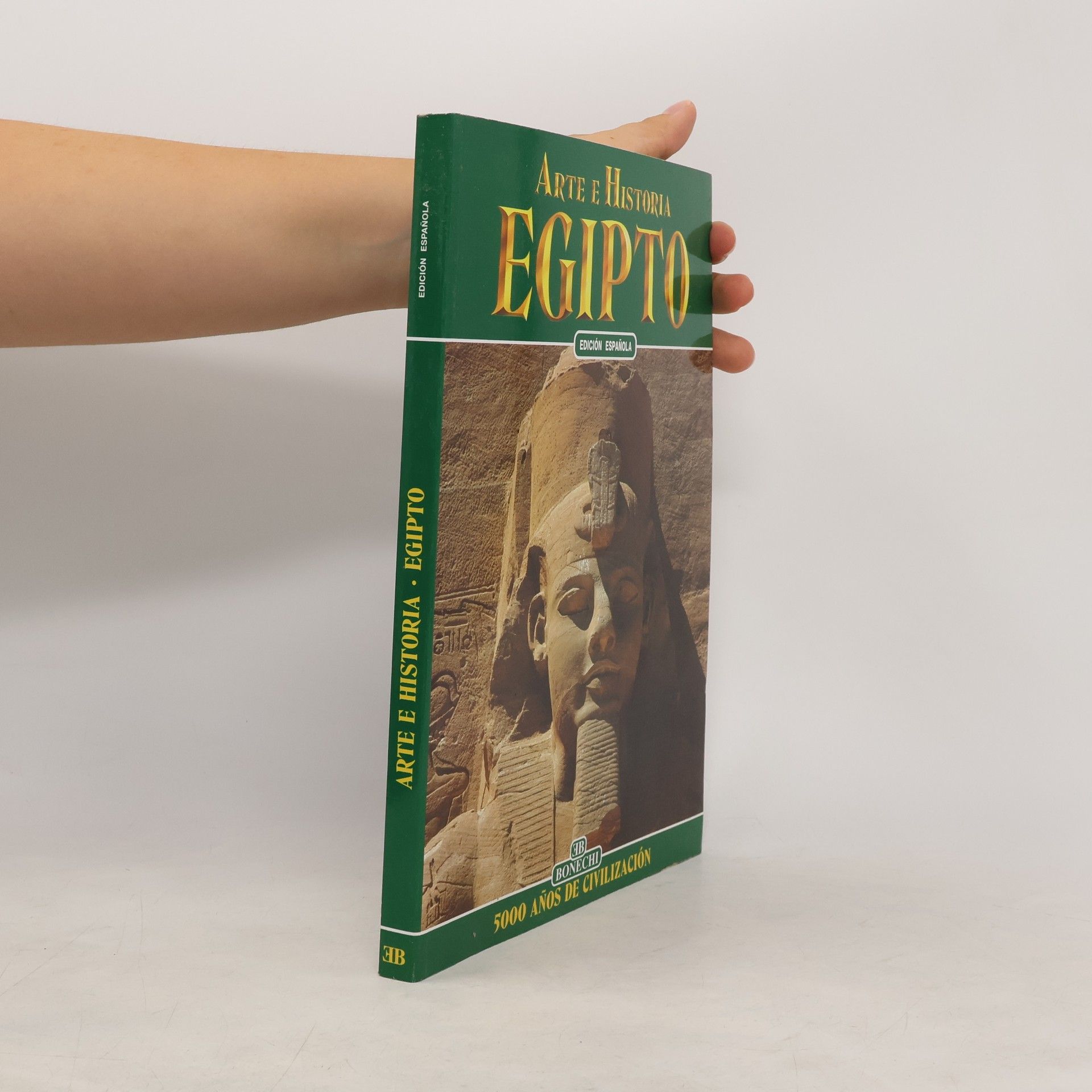 Alberto C. Carpiceci Arte e storia dell'Egitto