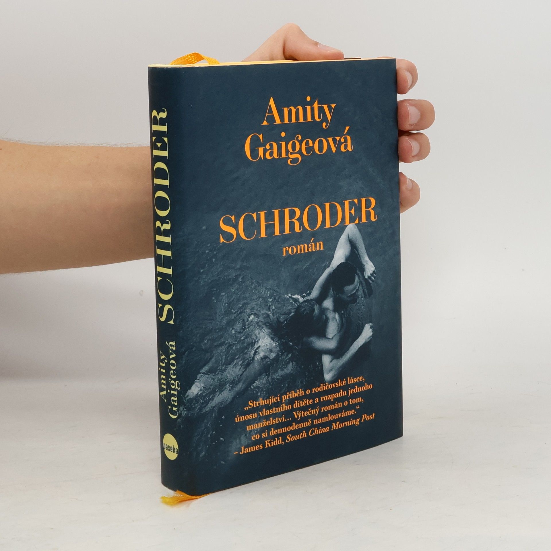 Amity Gaige Schroder