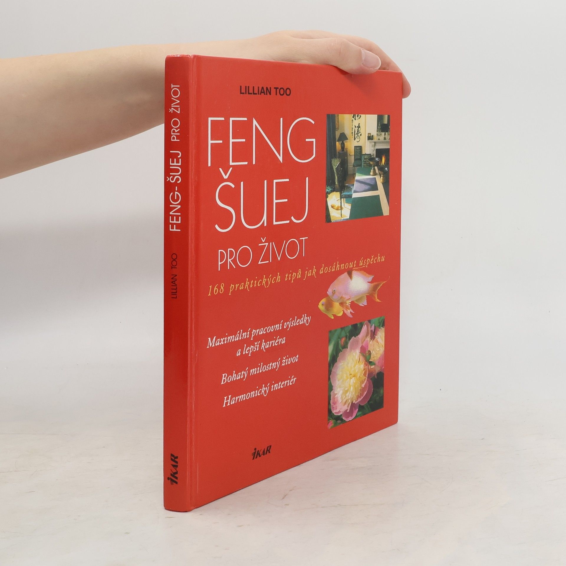 Lillian Too Feng-šuej pro život. 168 praktických tipů jak dosáhnout úspěchu