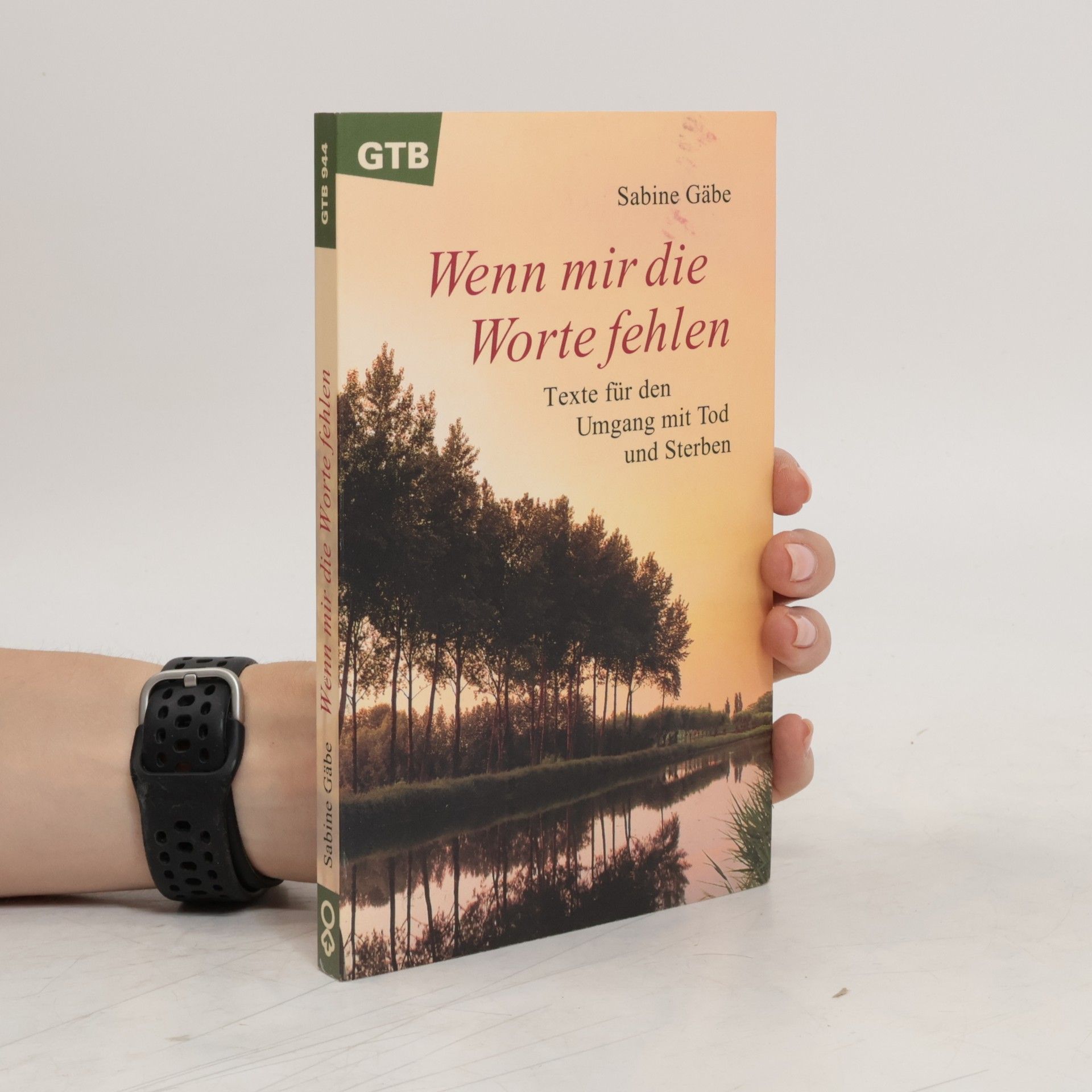 Sabine Gäbe Wenn mir die Worte fehlen
