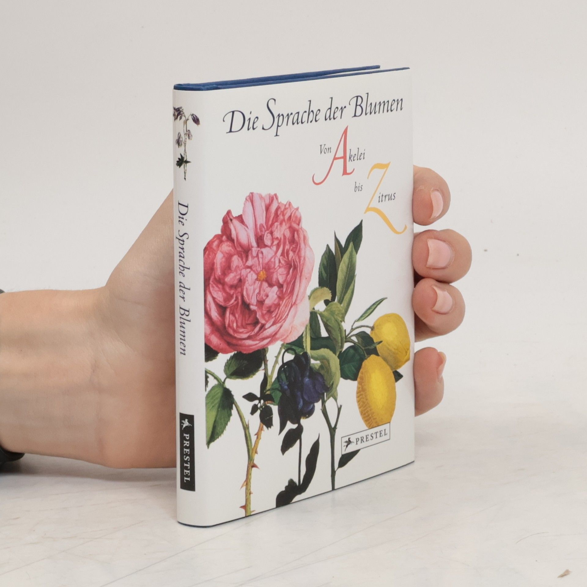 Marina Heilmeyer Die Sprache der Blumen