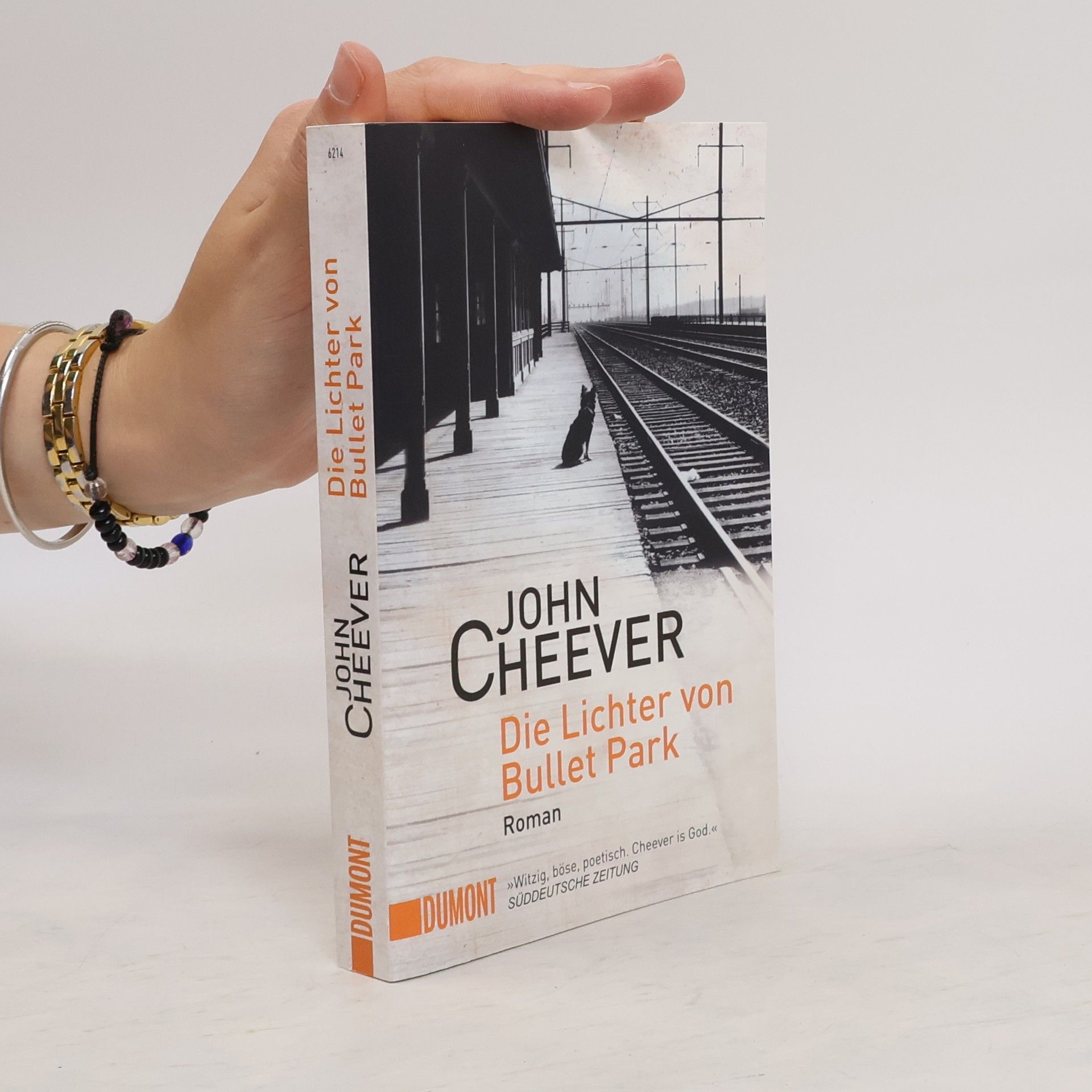 John Cheever Die Lichter von Bullet Park