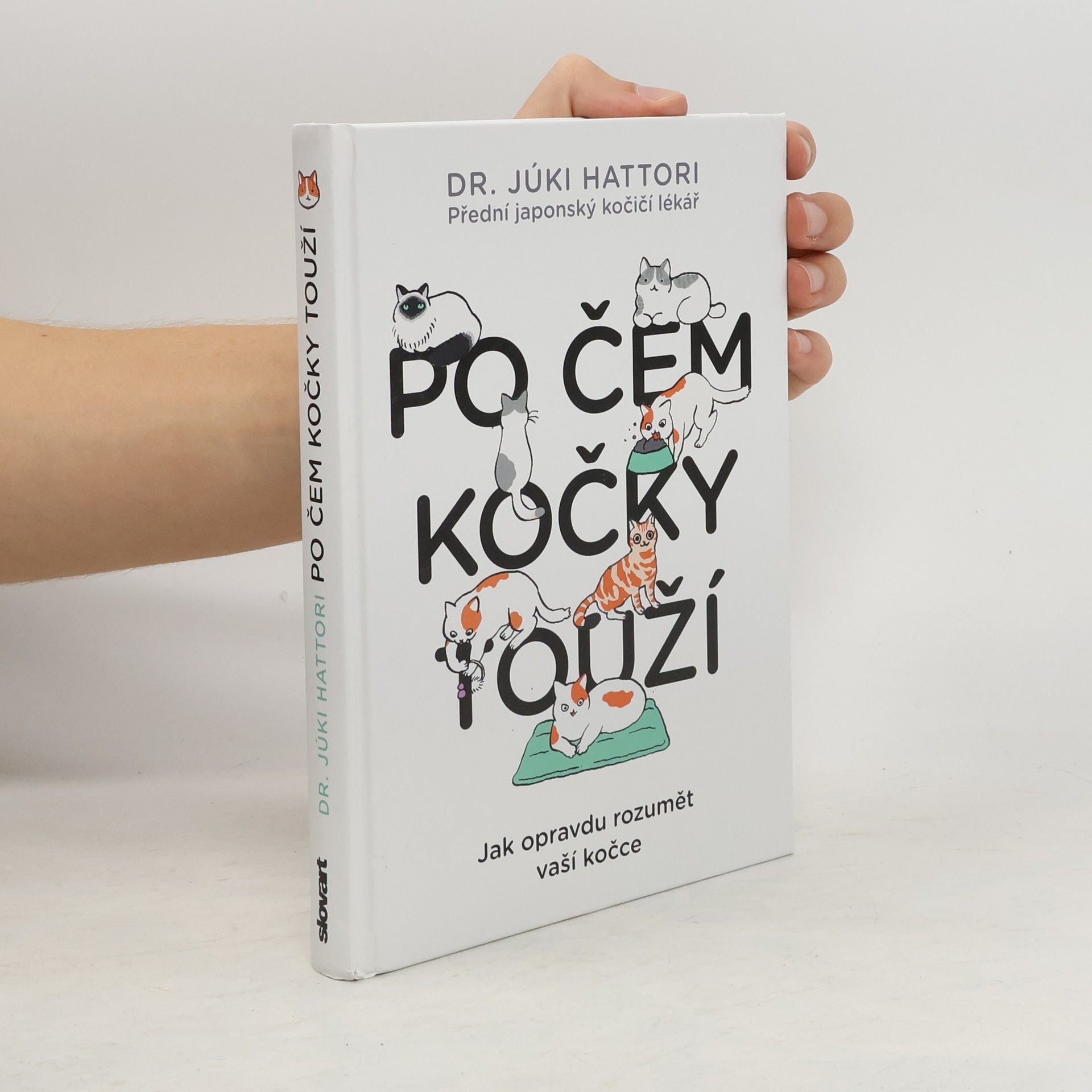 Júki Hattori Po čem kočky touží : jak opravdu rozumět vaší kočce