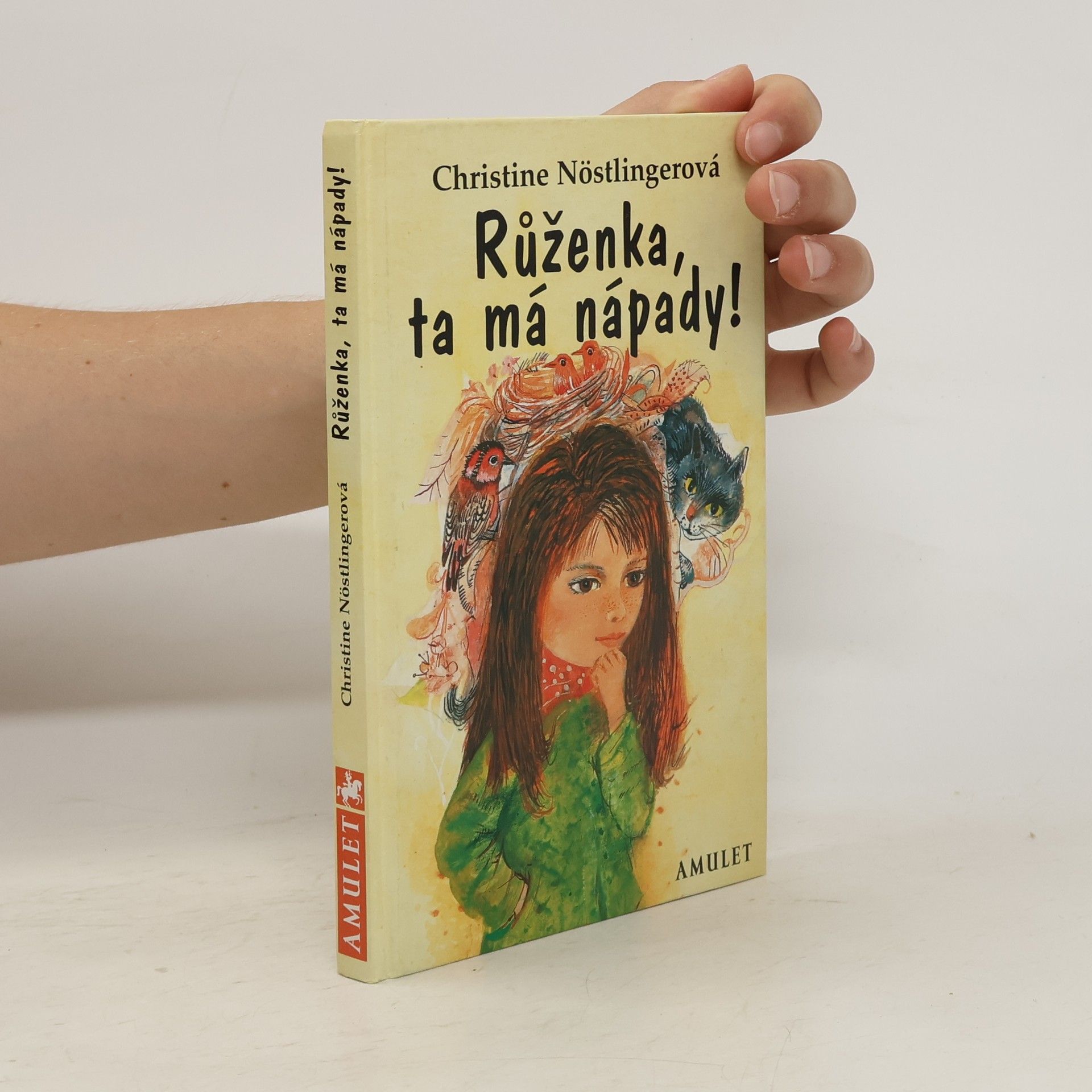 Christine Nöstlinger Růženka, ta má nápady!