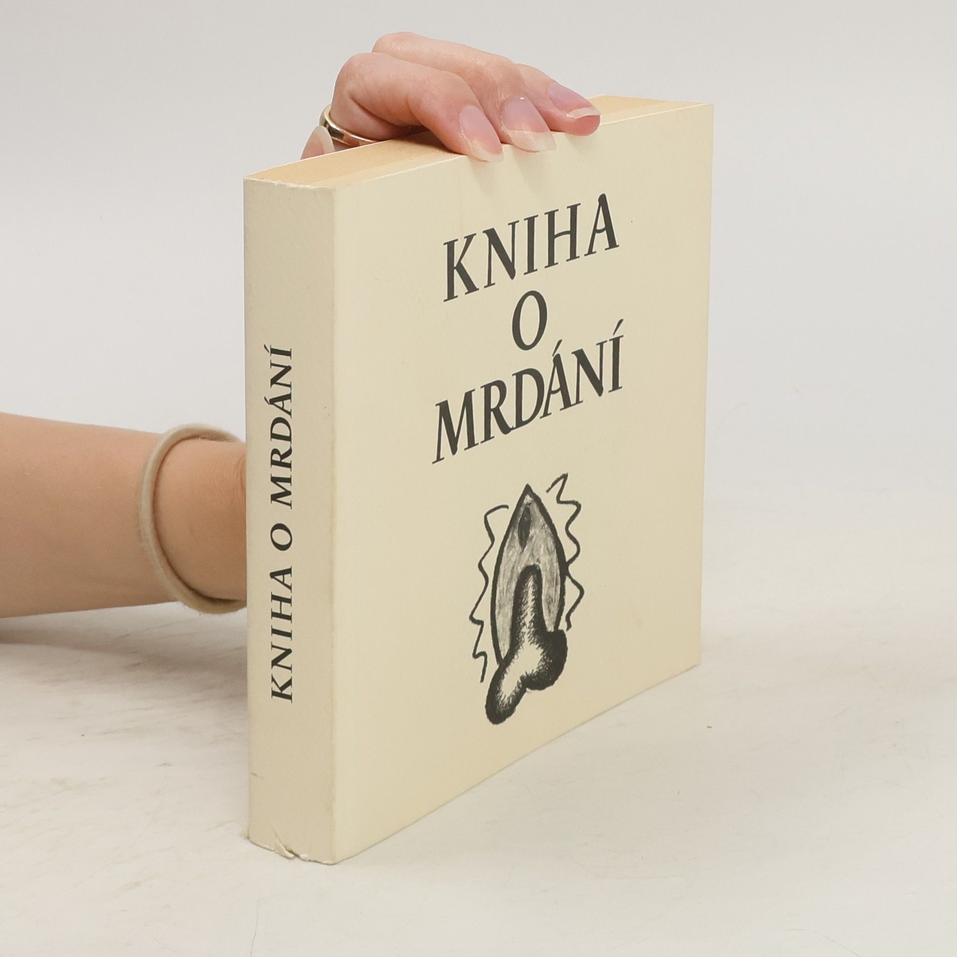 Nela D. Aston Kniha o mrdání