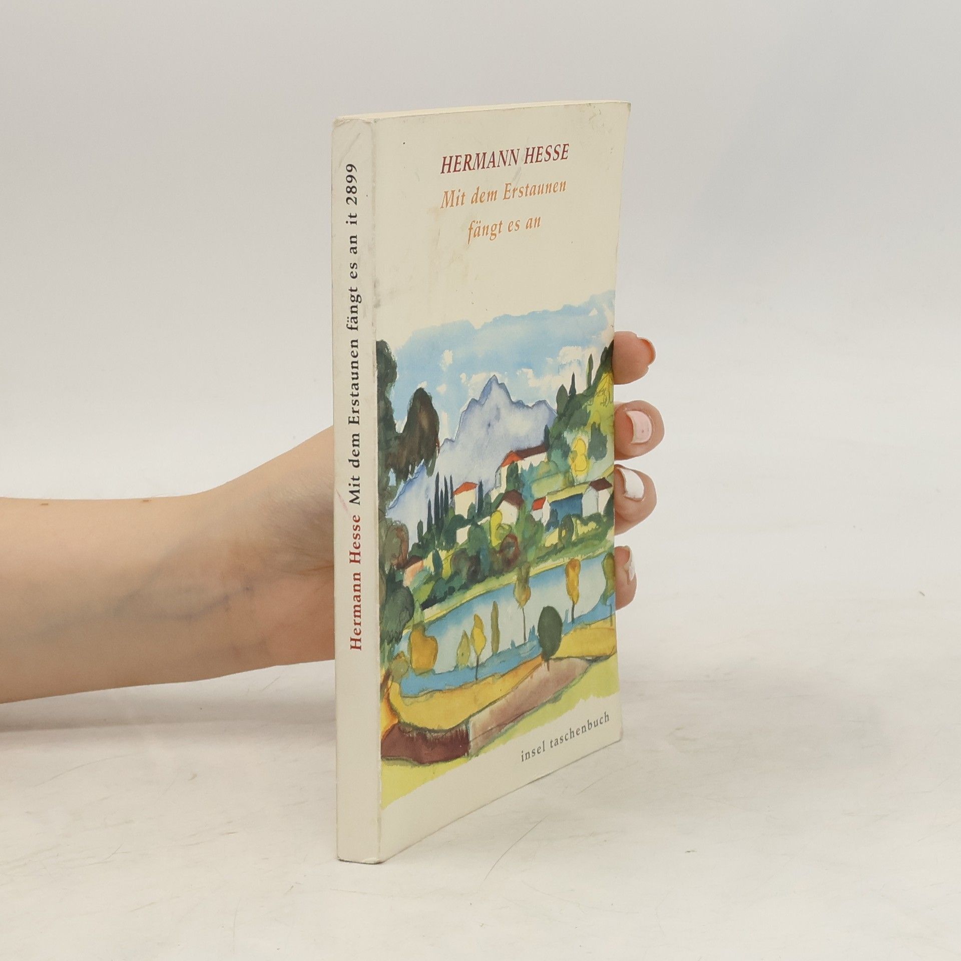 Hermann Hesse Mit dem Erstaunen fängt es an