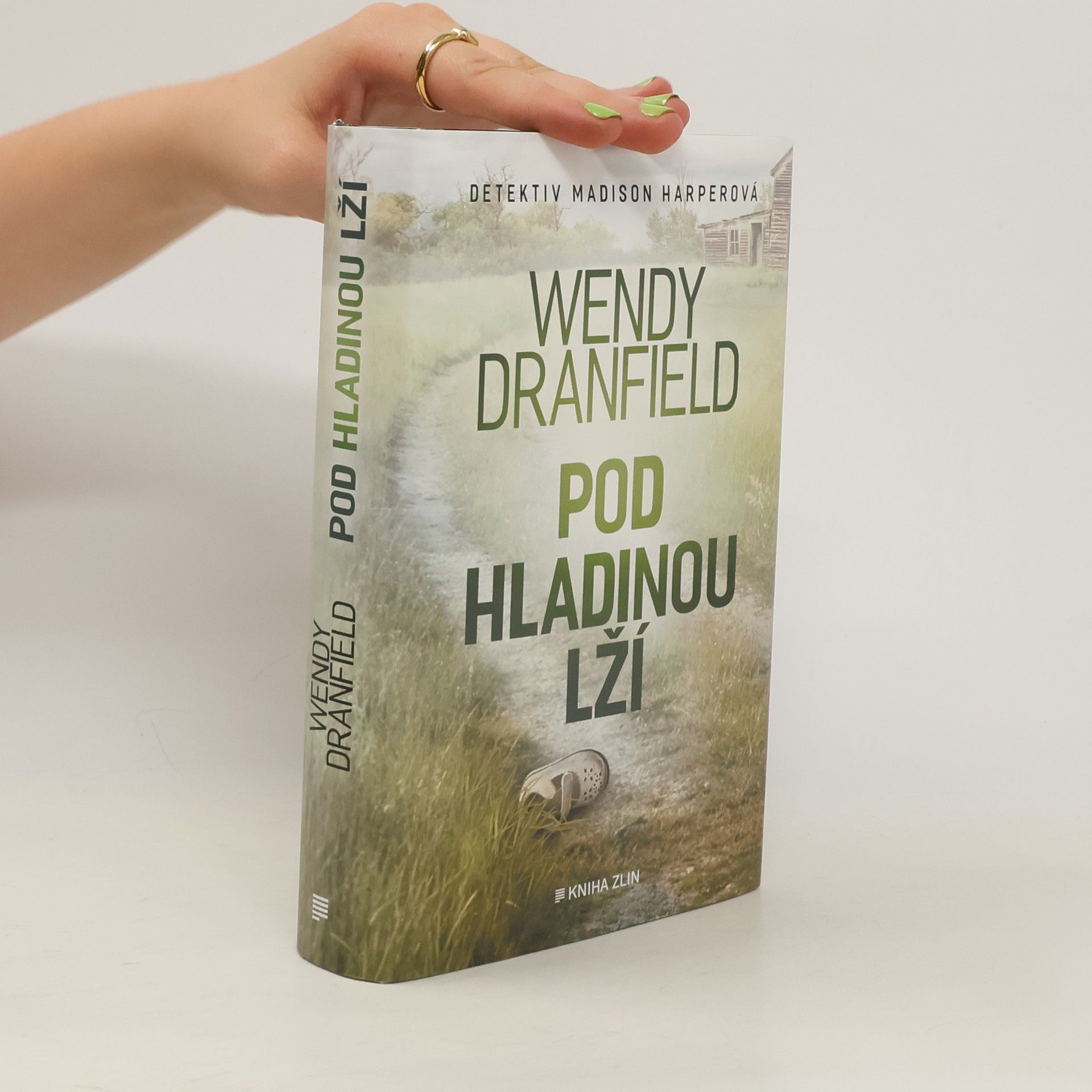 Wendy Dranfield Pod hladinou lží