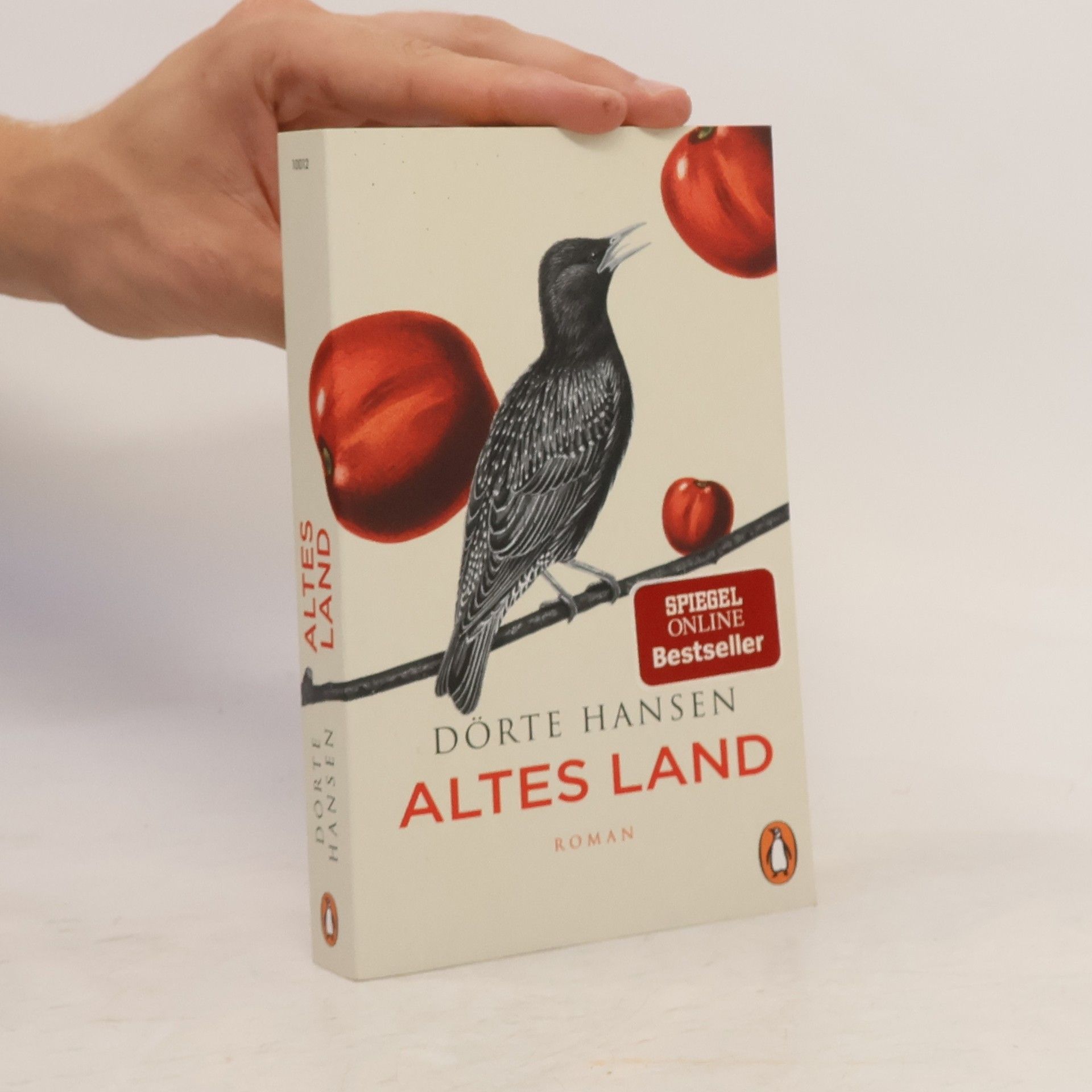 Dörte Hansen Altes Land