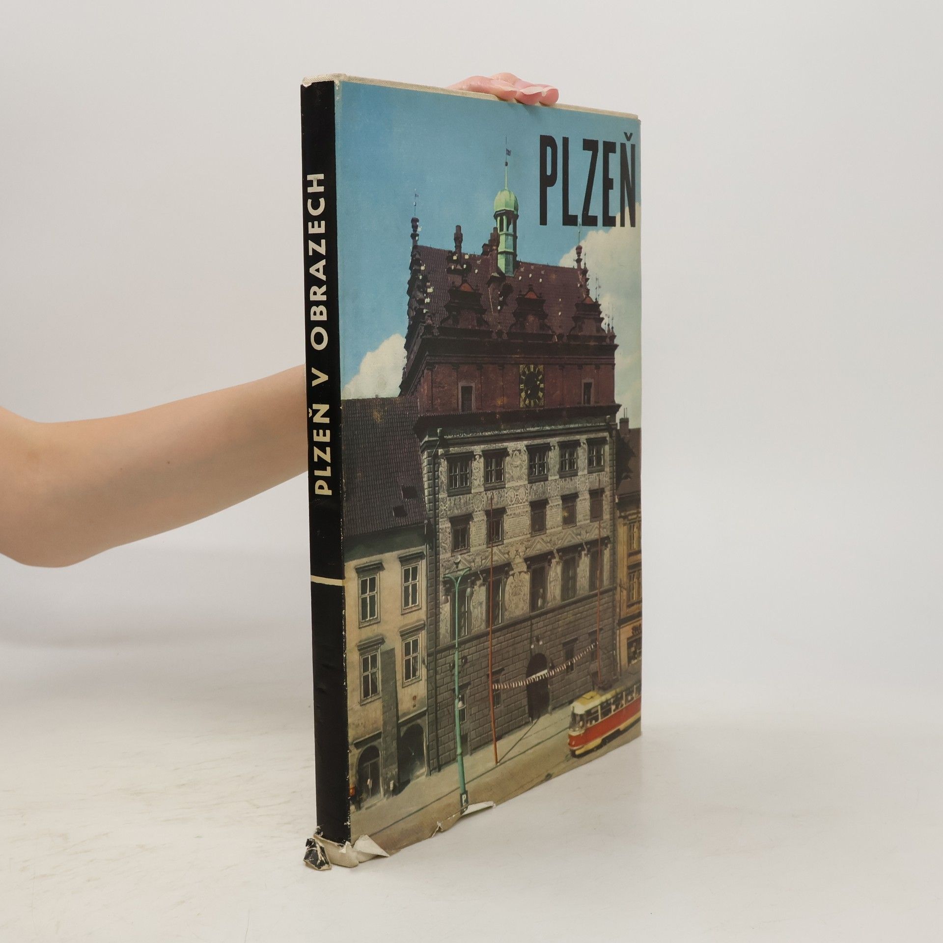 Collectif d'auteurs Plzeň v obrazech