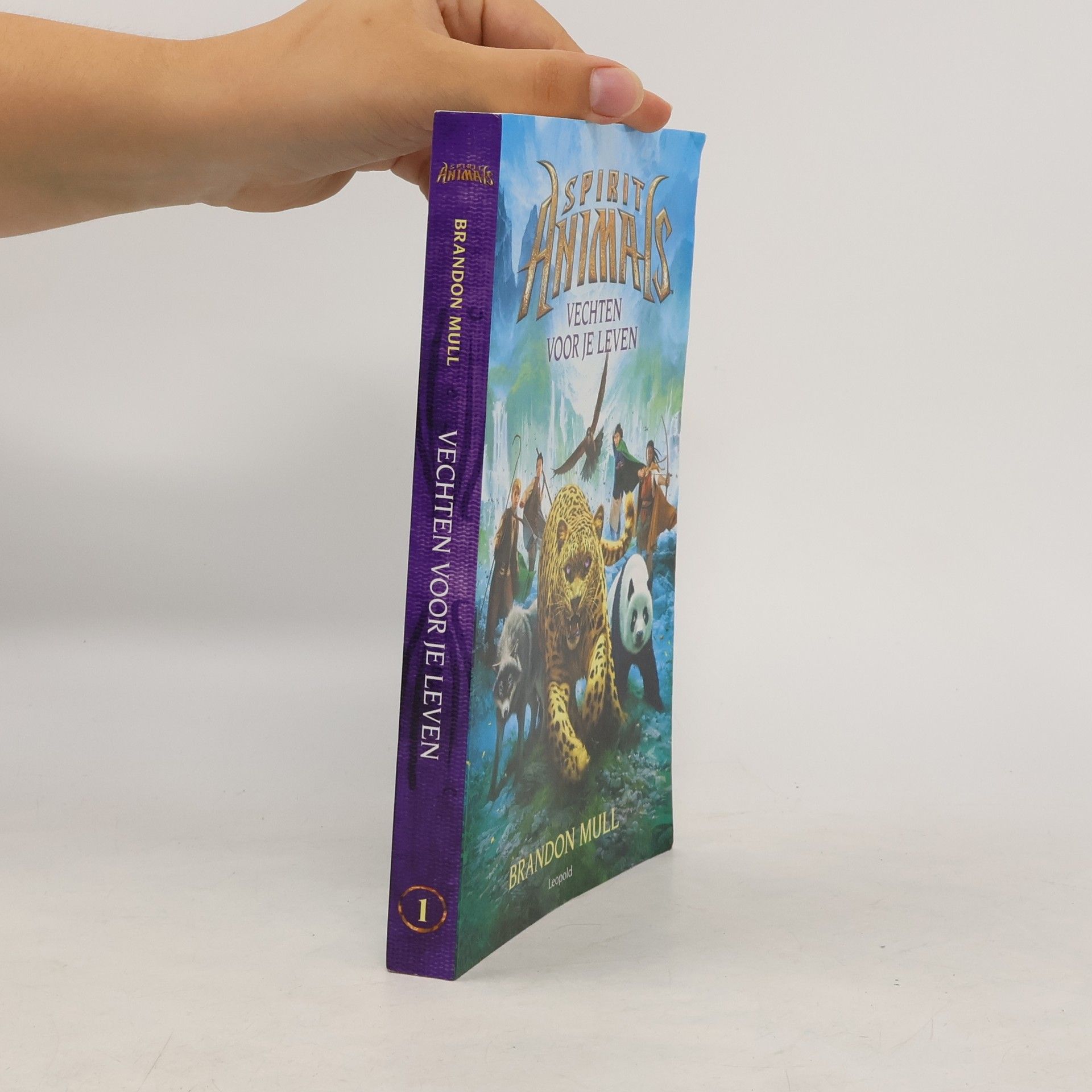 Brandon Mull Vechten Voor je Leven 1