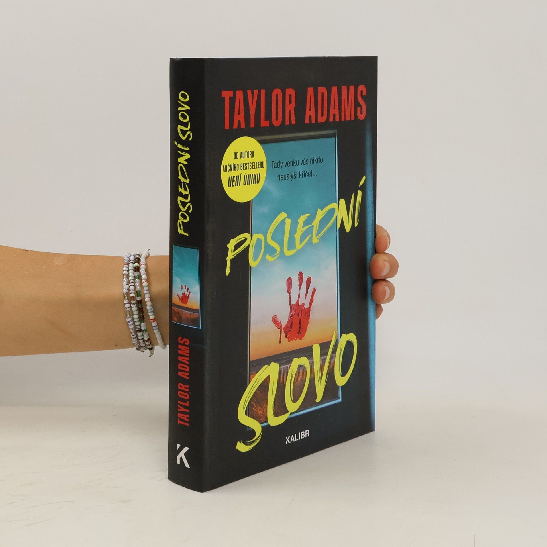 Irena Steinerová Poslední slovo