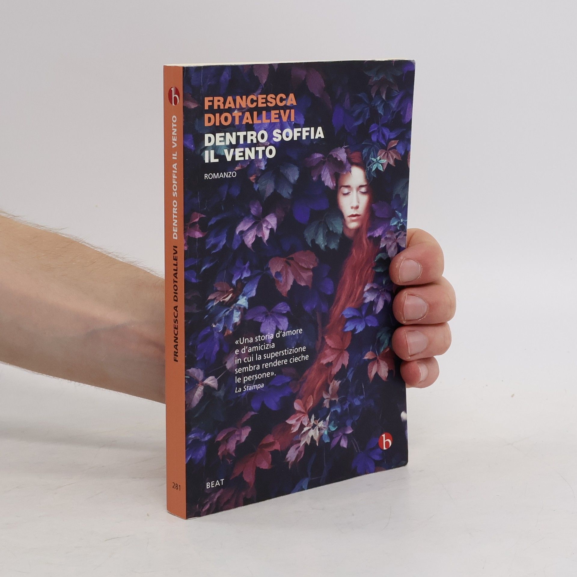 Francesca Diotallevi Dentro soffia il vento