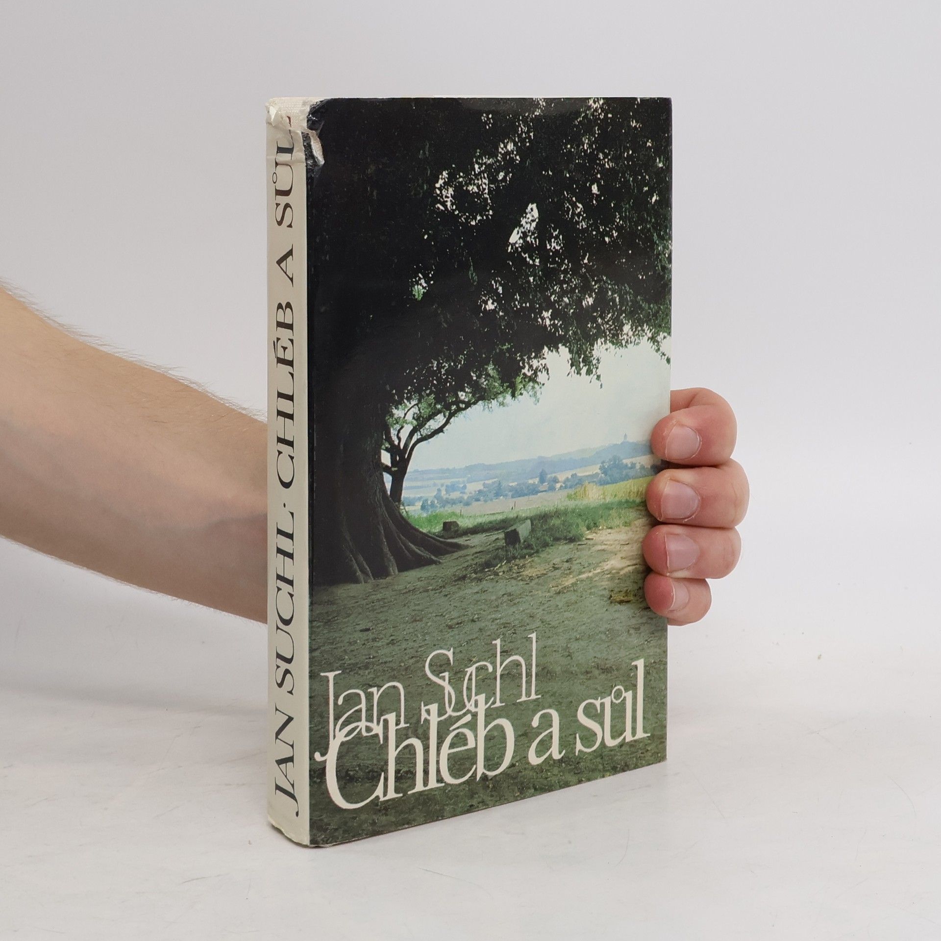 Jan Suchl Chléb a sůl