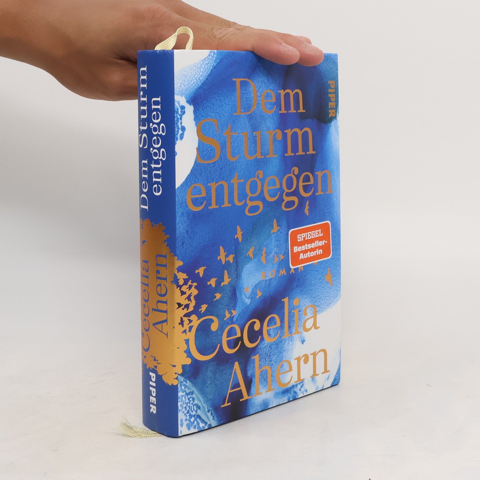 Cecelia Ahern Dem Sturm entgegen