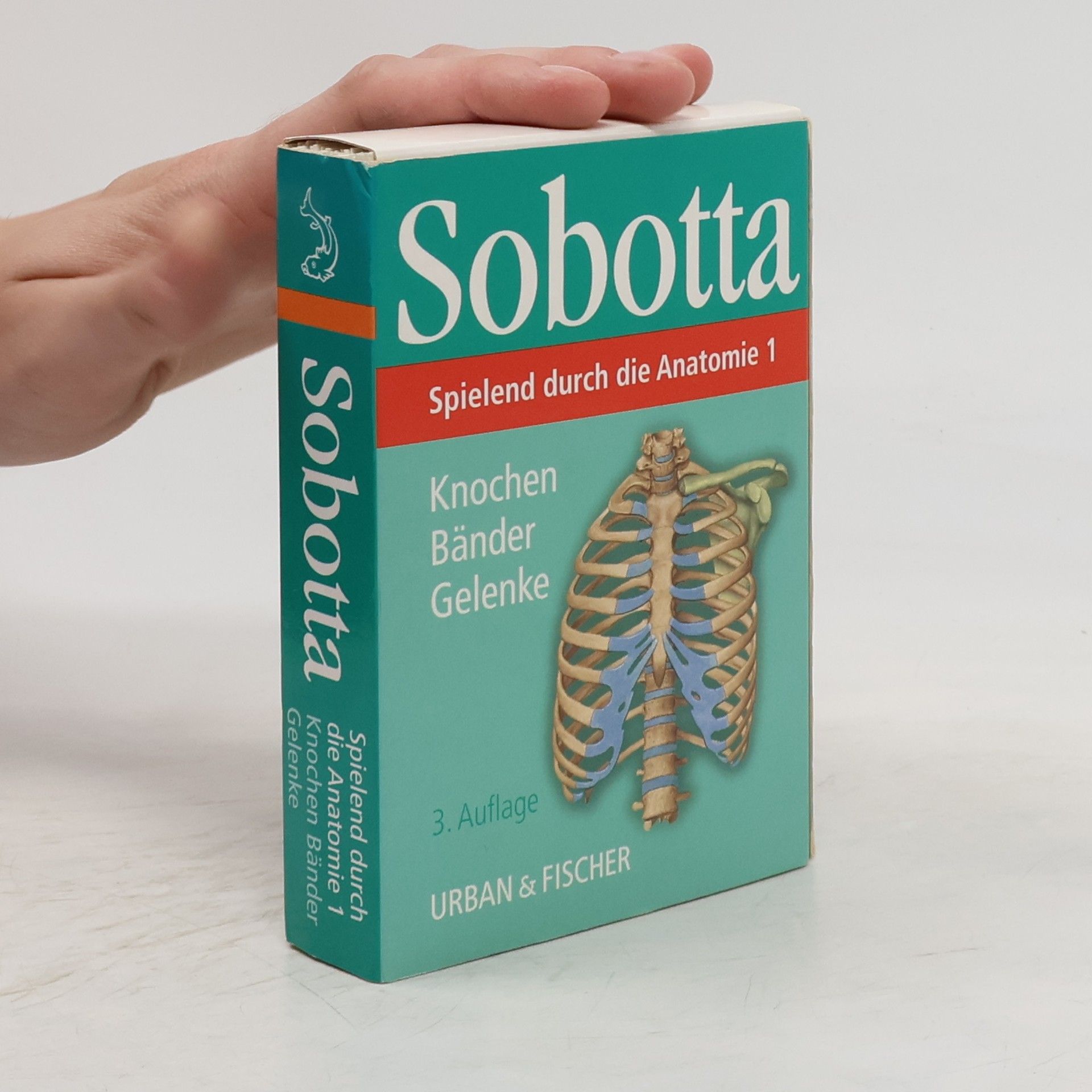 Autorenkollektiv Spielend durch die Anatomie