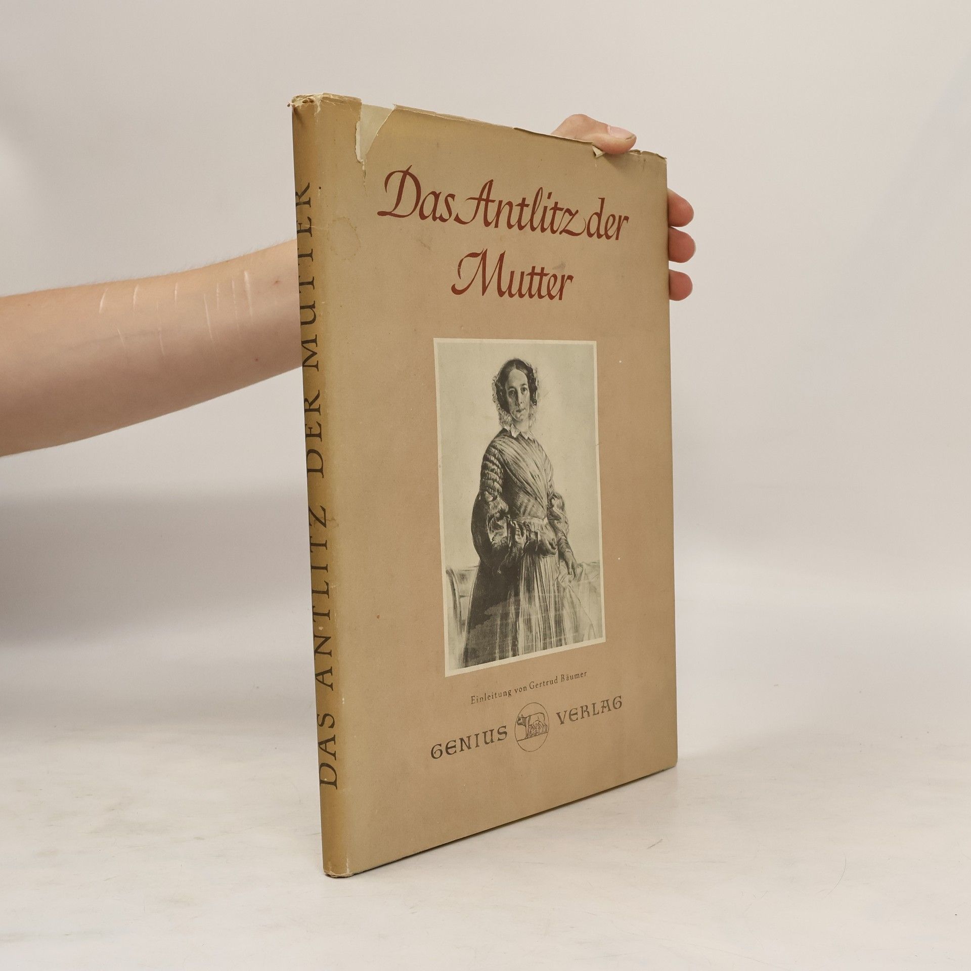 Gertrud Bäumer Das Antlitz der Mutter