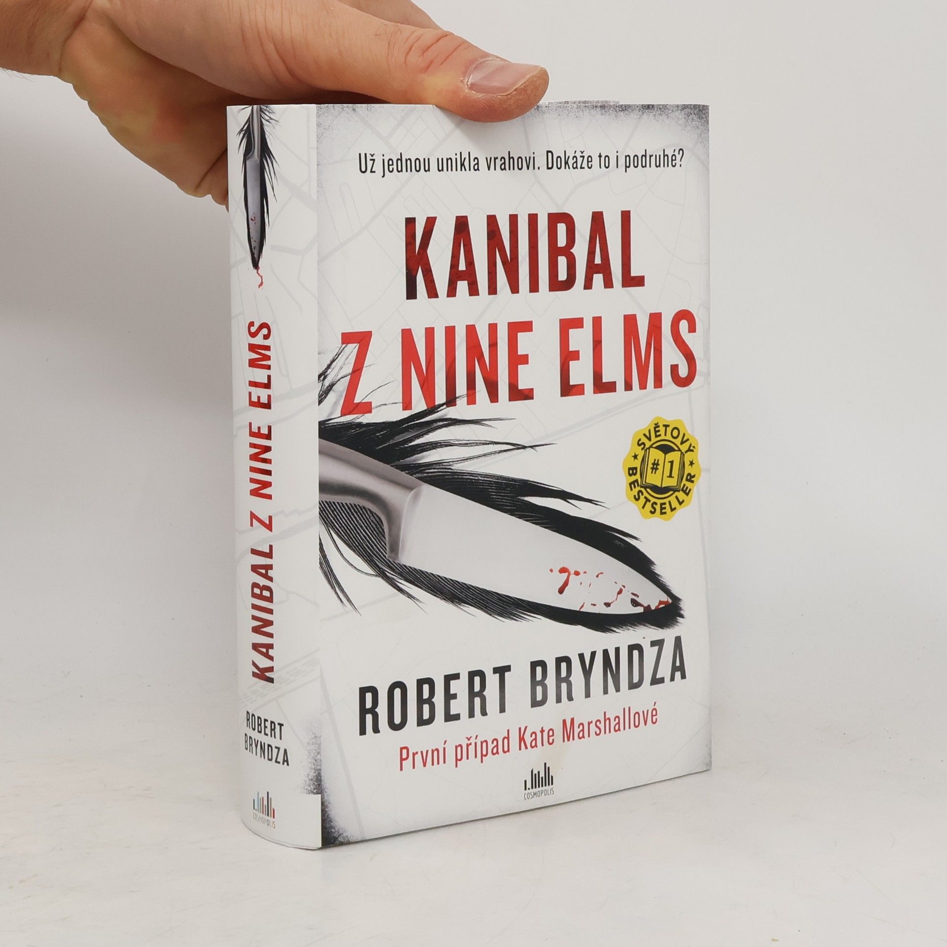 Robert Bryndza Kanibal z Nine Elms