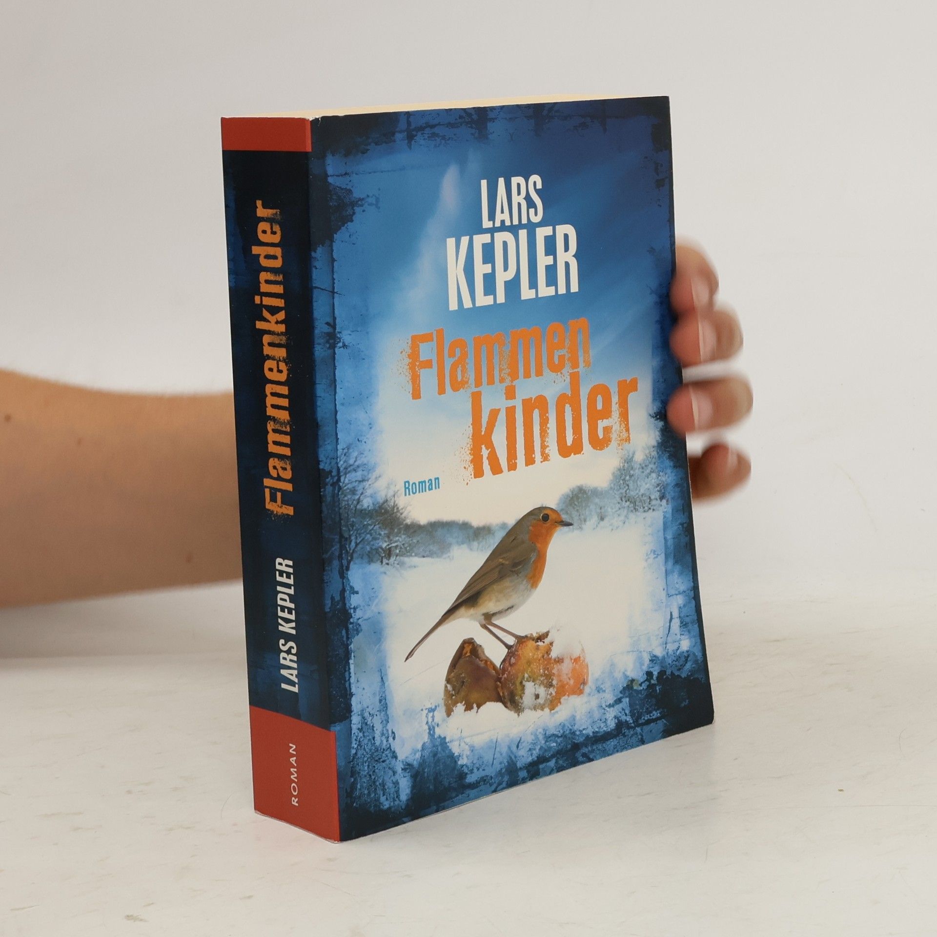 Lars Kepler Flammenkinder