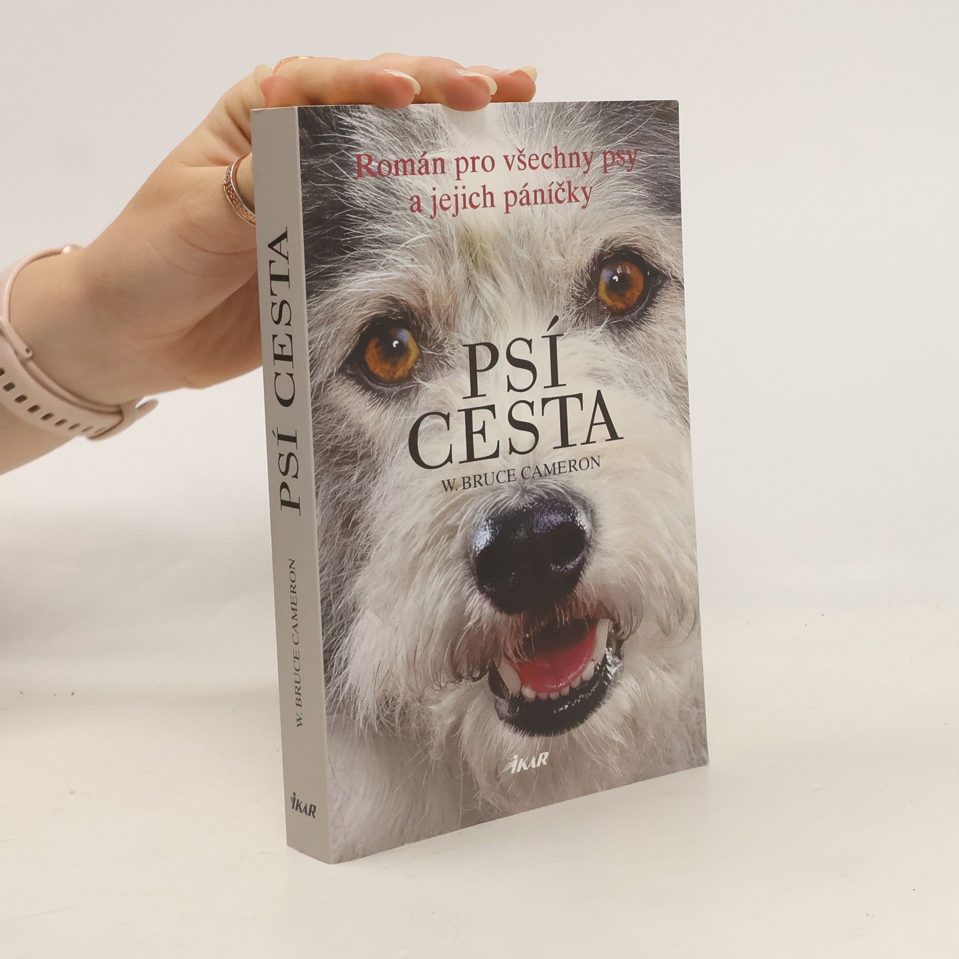 W. Bruce Cameron Psí cesta