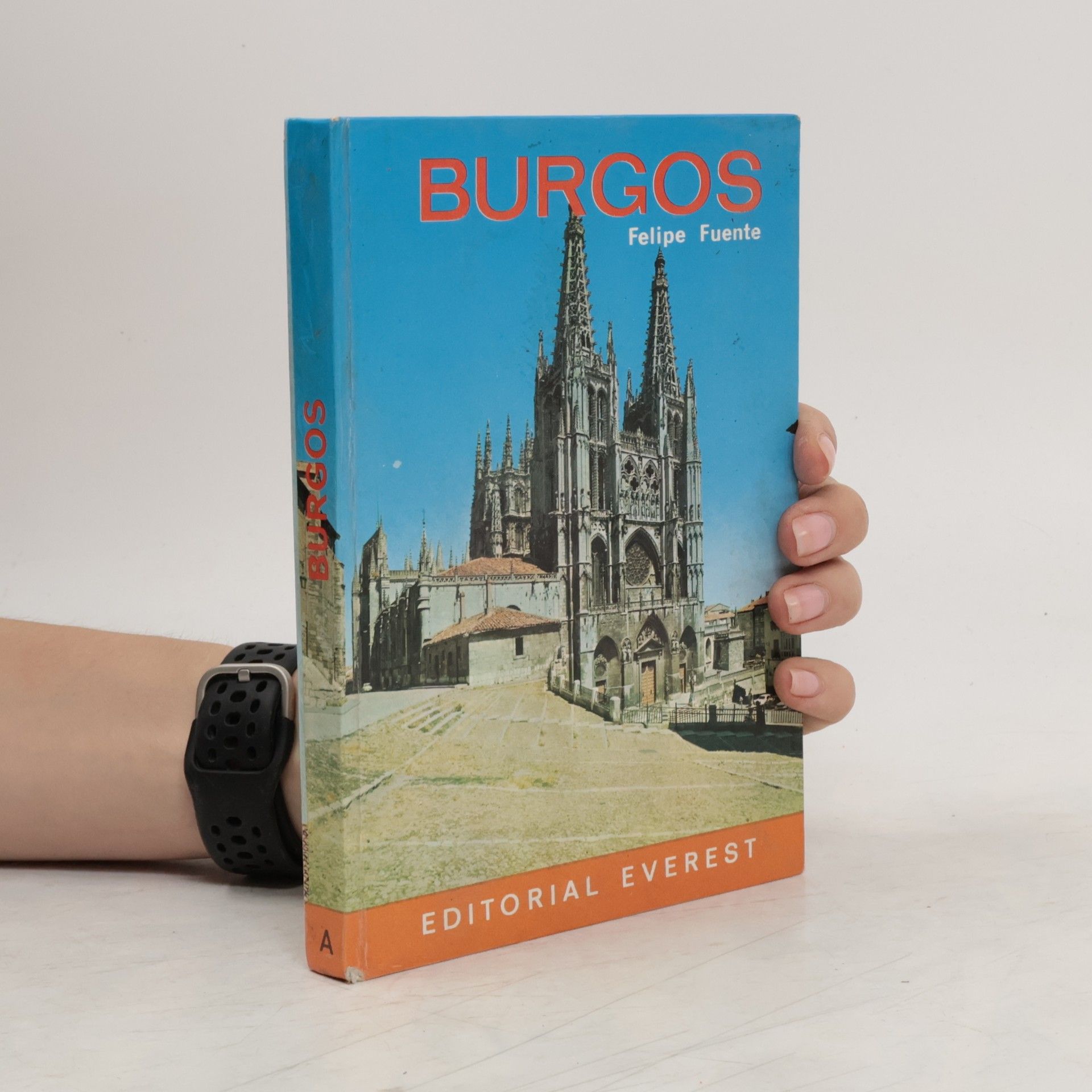 Felipe Fuente Burgos