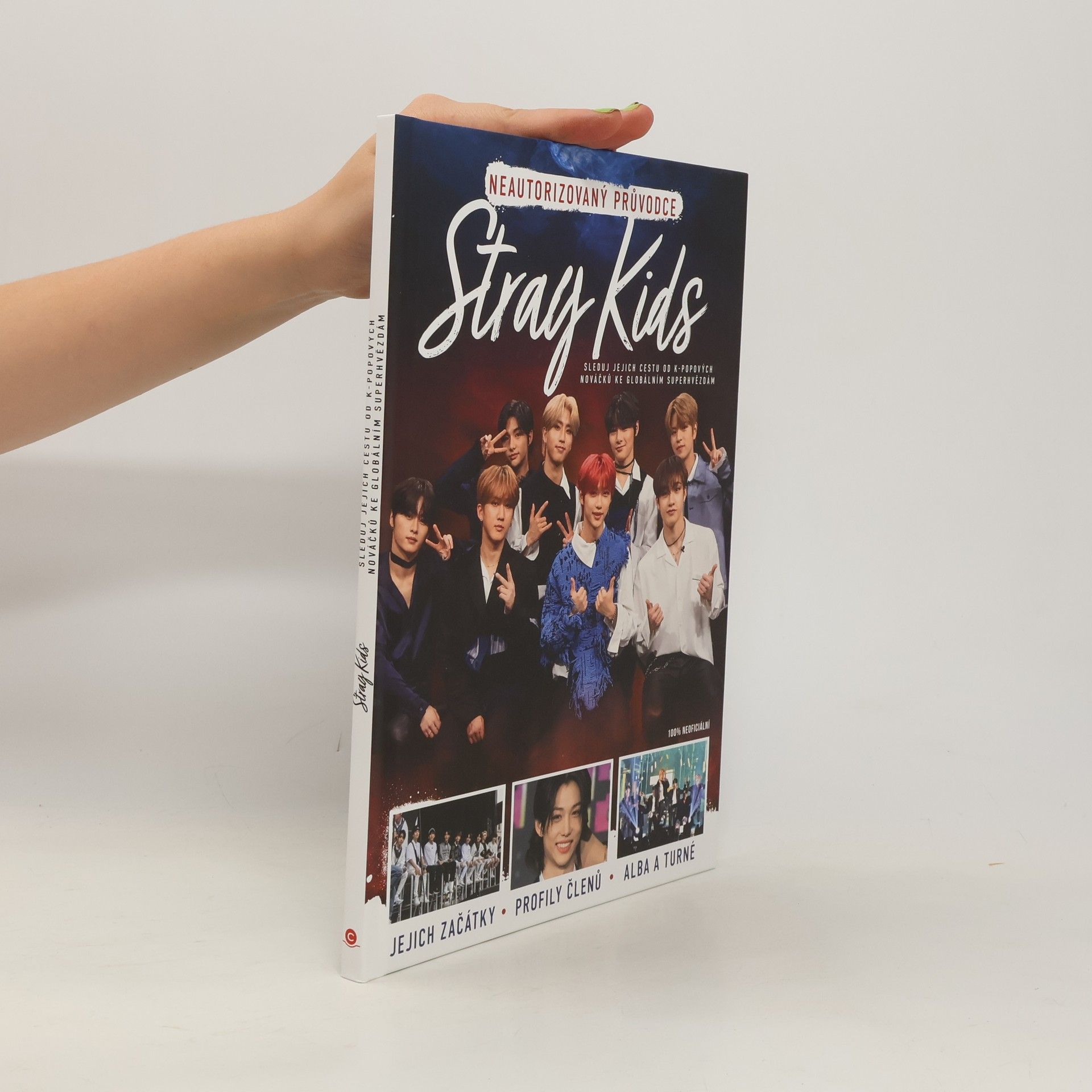 Collective Stray Kids