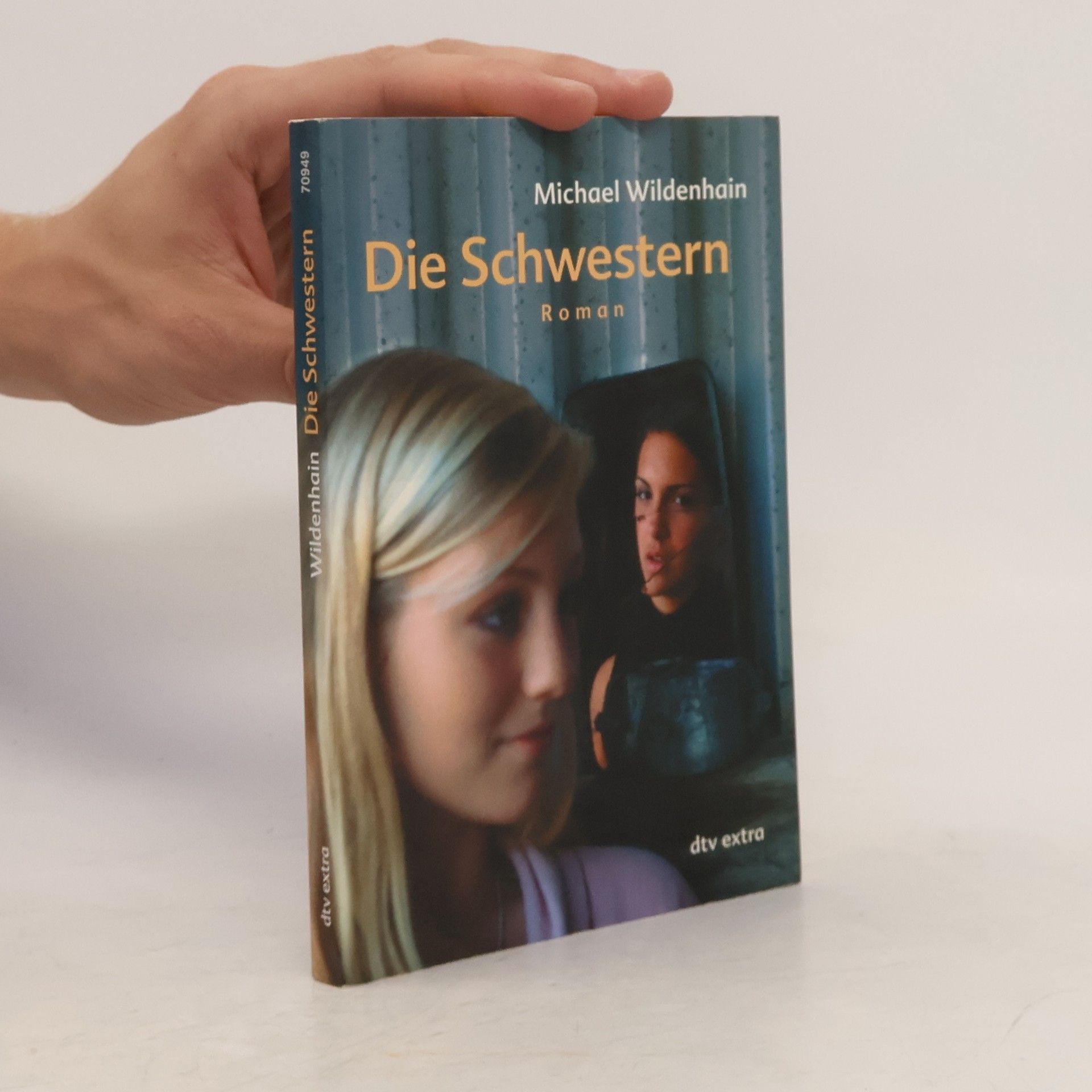 Michael Wildenhain Die Schwestern