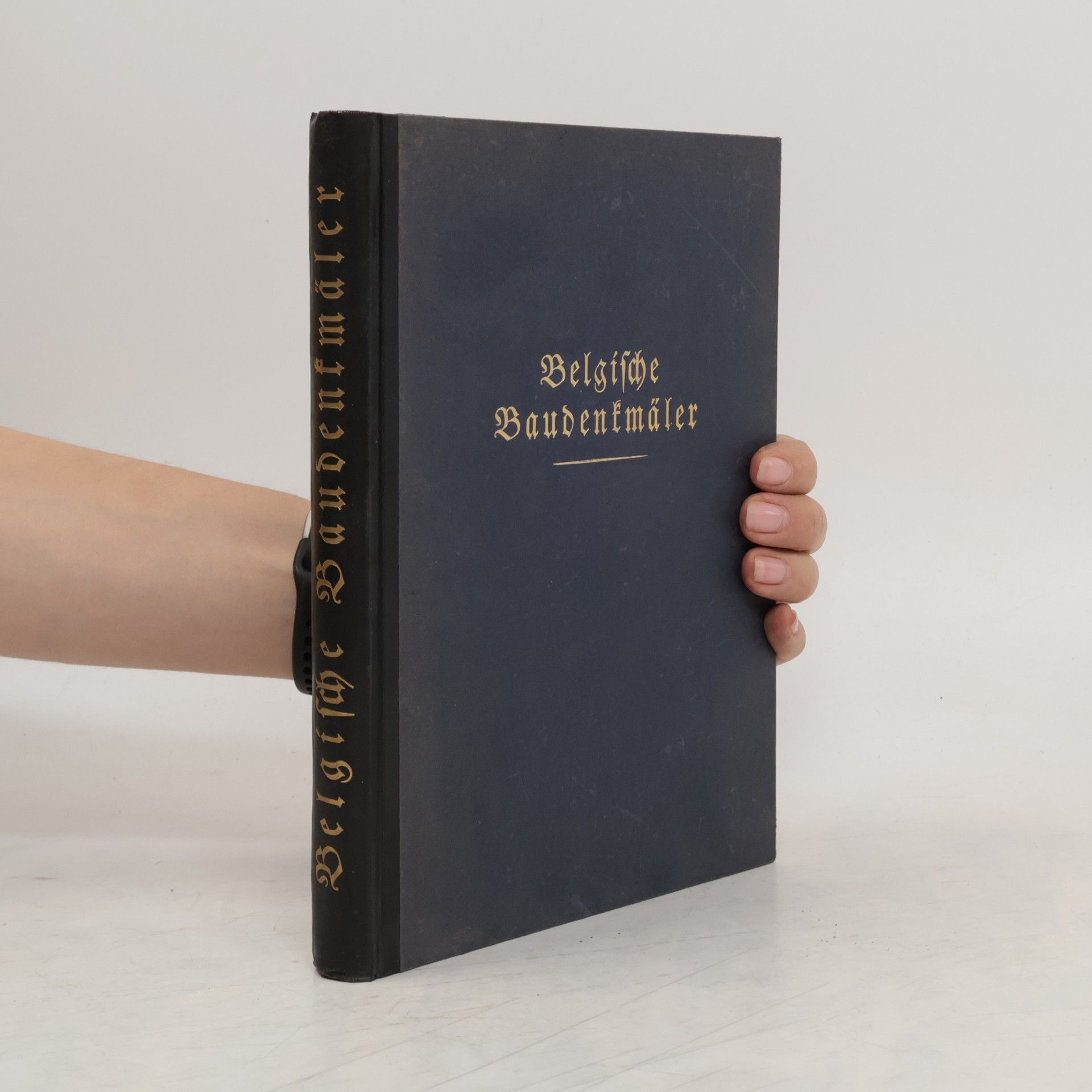 Eugen Lüthgen Belgische Baudenkmäler