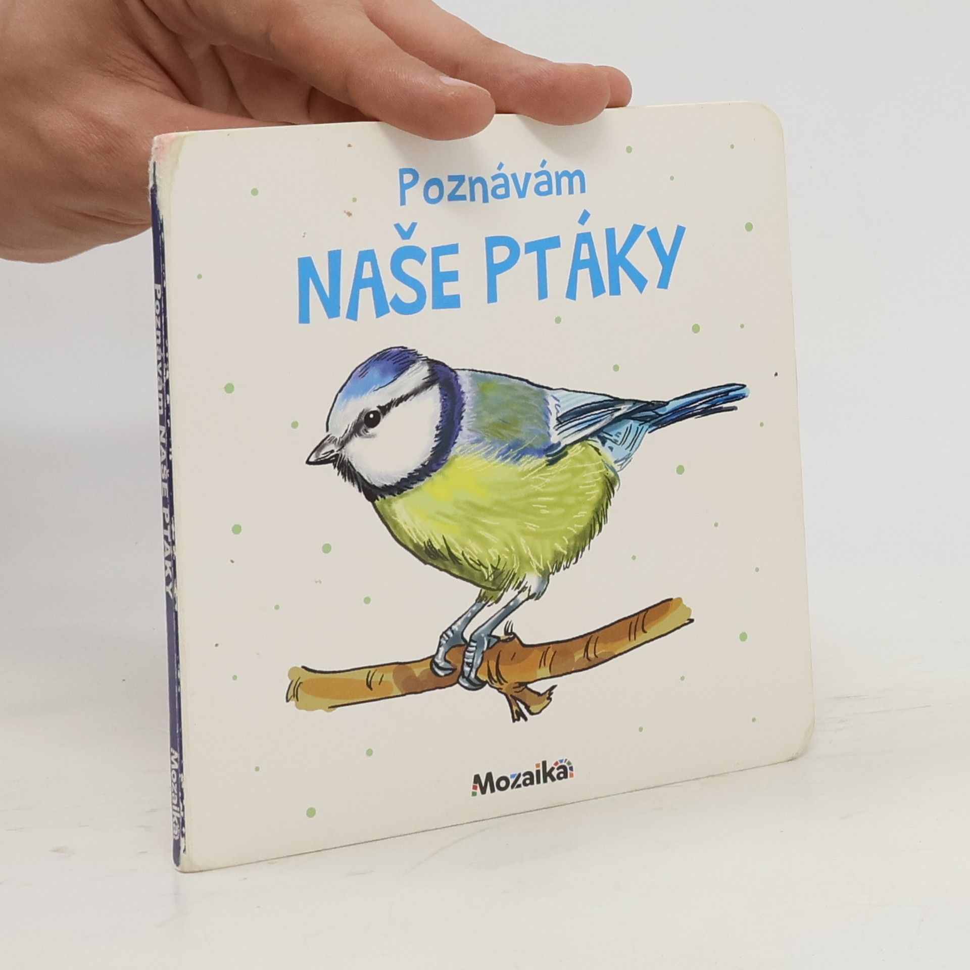 kolektiv Poznávám naše ptáky