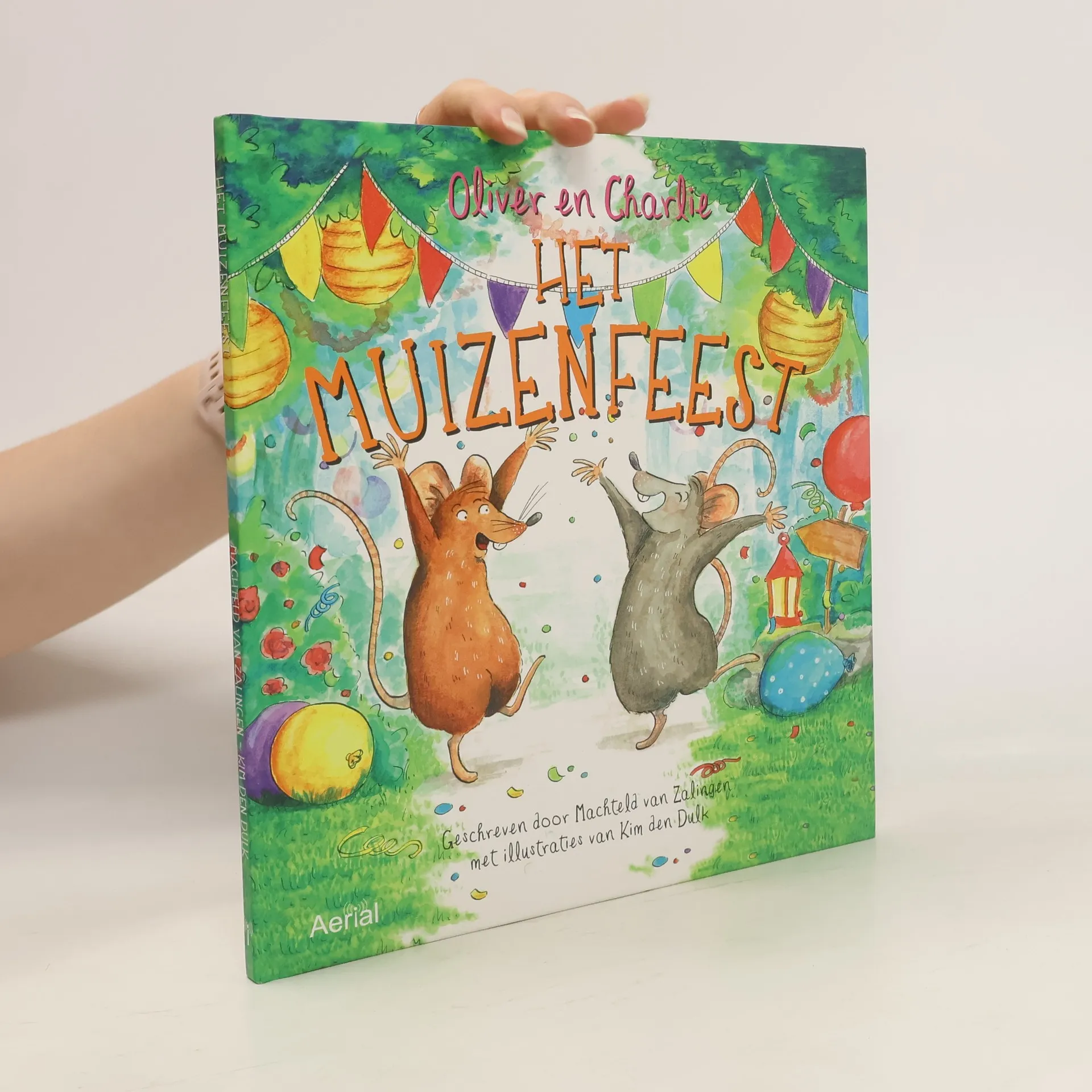Het Muizenfeest | Machteld van Zalingen | Boek