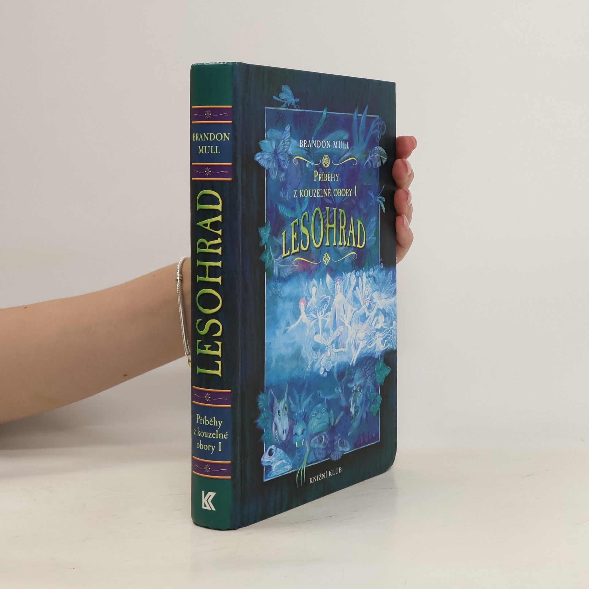 Brandon Mull Příběhy z kouzelné obory 1. Lesohrad