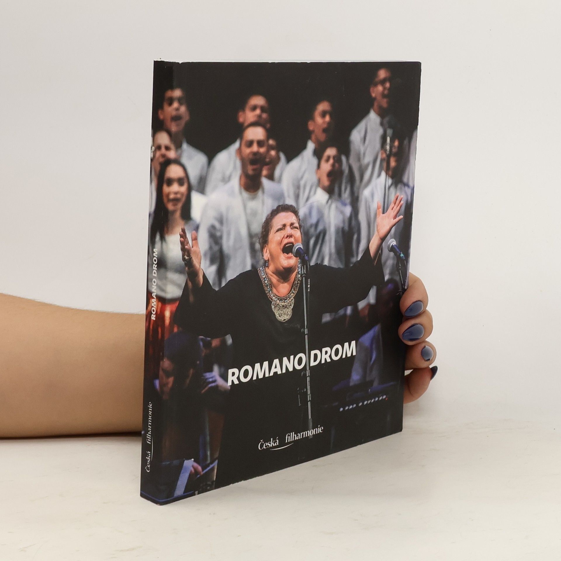 Collective Romano Drom