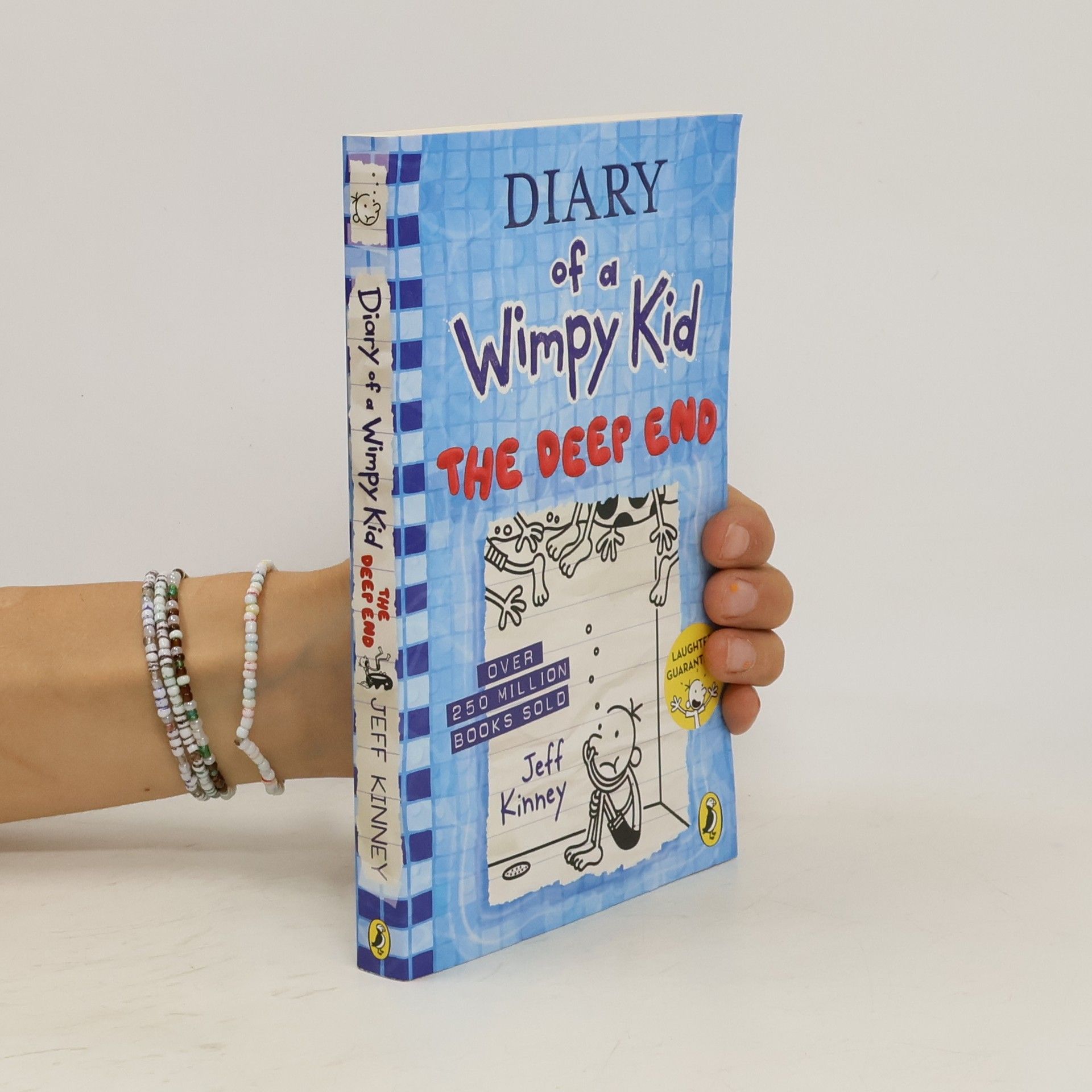 Jeff Kinney Diary of a Wimpy Kid 15: The Deep End