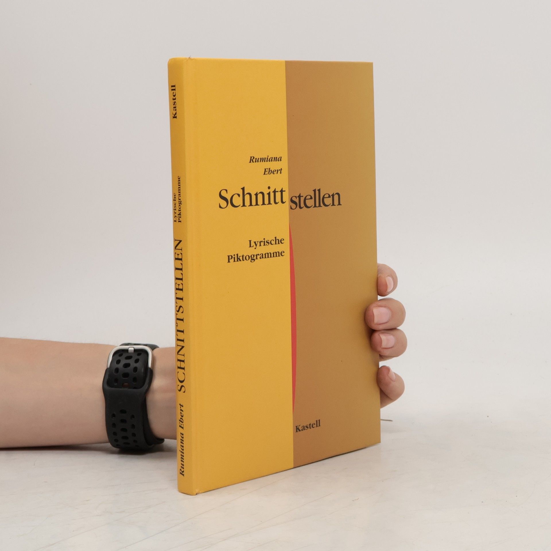 Rumiana Ebert Schnittstellen