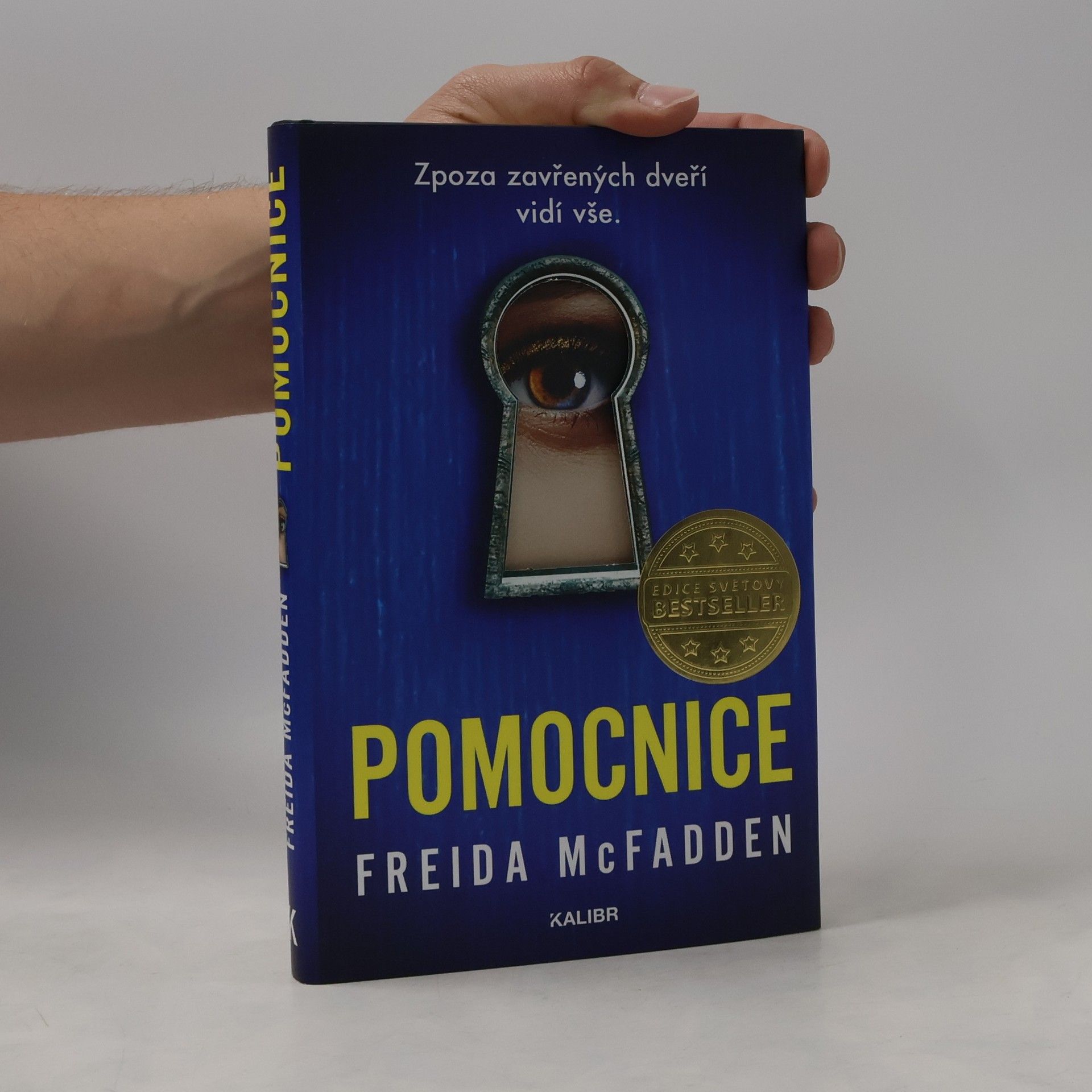 Freida McFadden Pomocnice