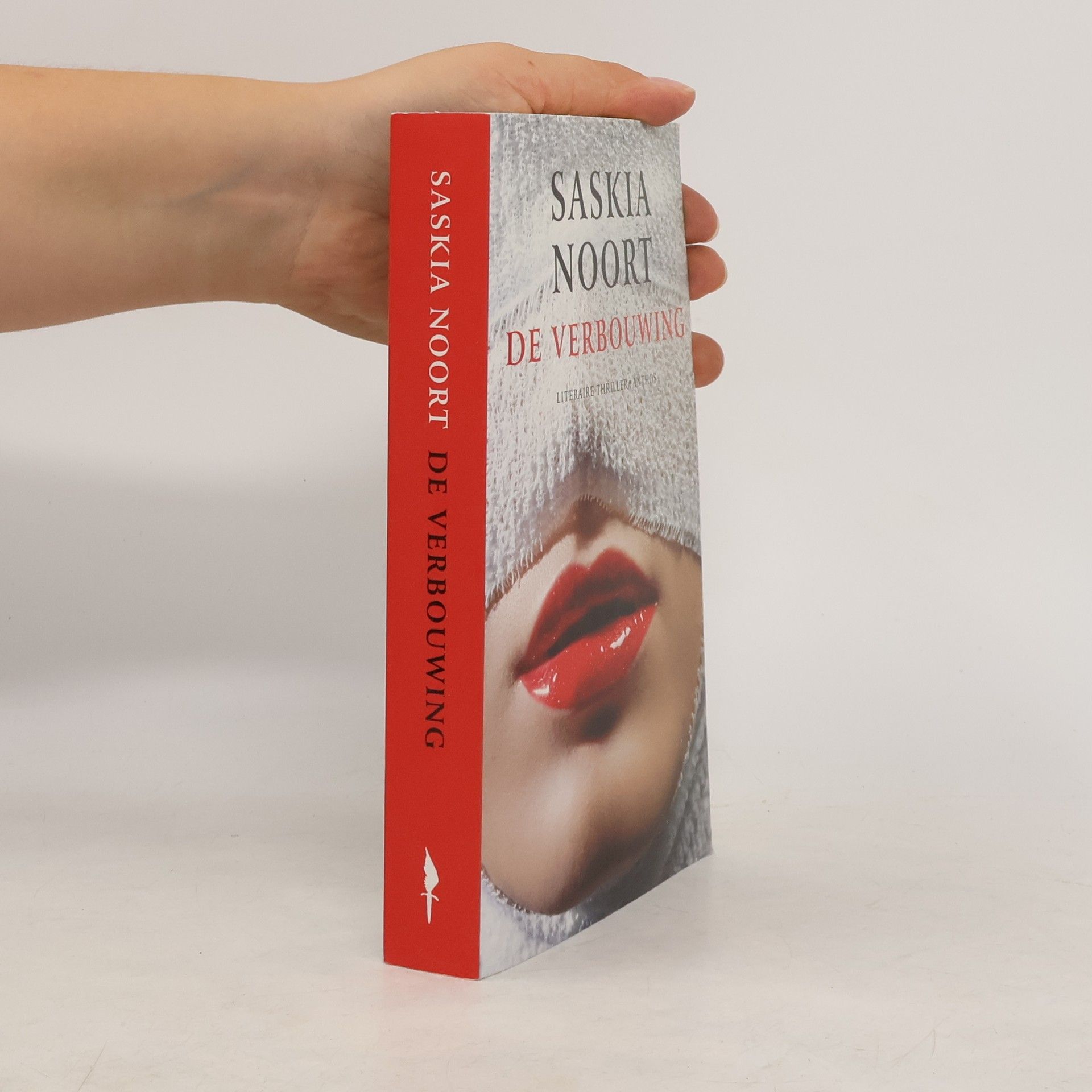 Saskia Noort De verbouwing