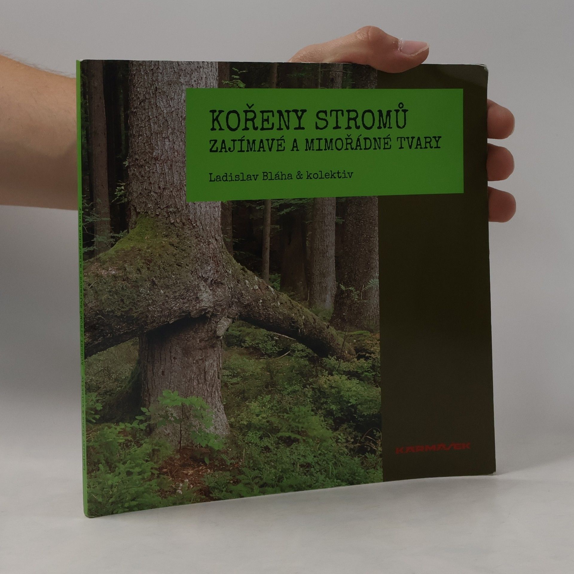 Ladislav Bláha Kořeny stromů