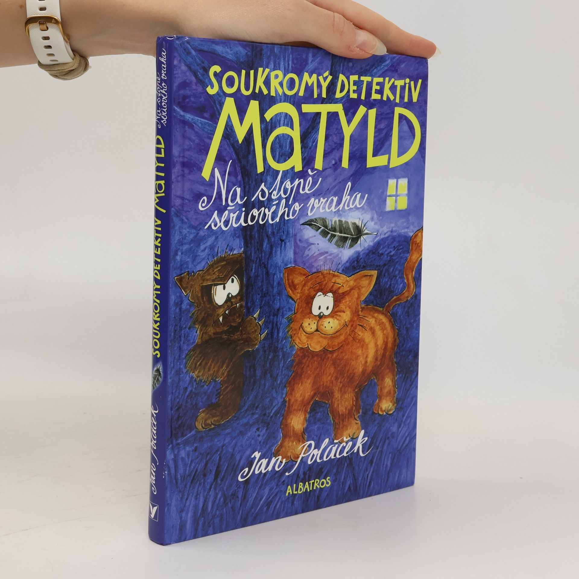 Jan Poláček Soukromý detektiv Matyld