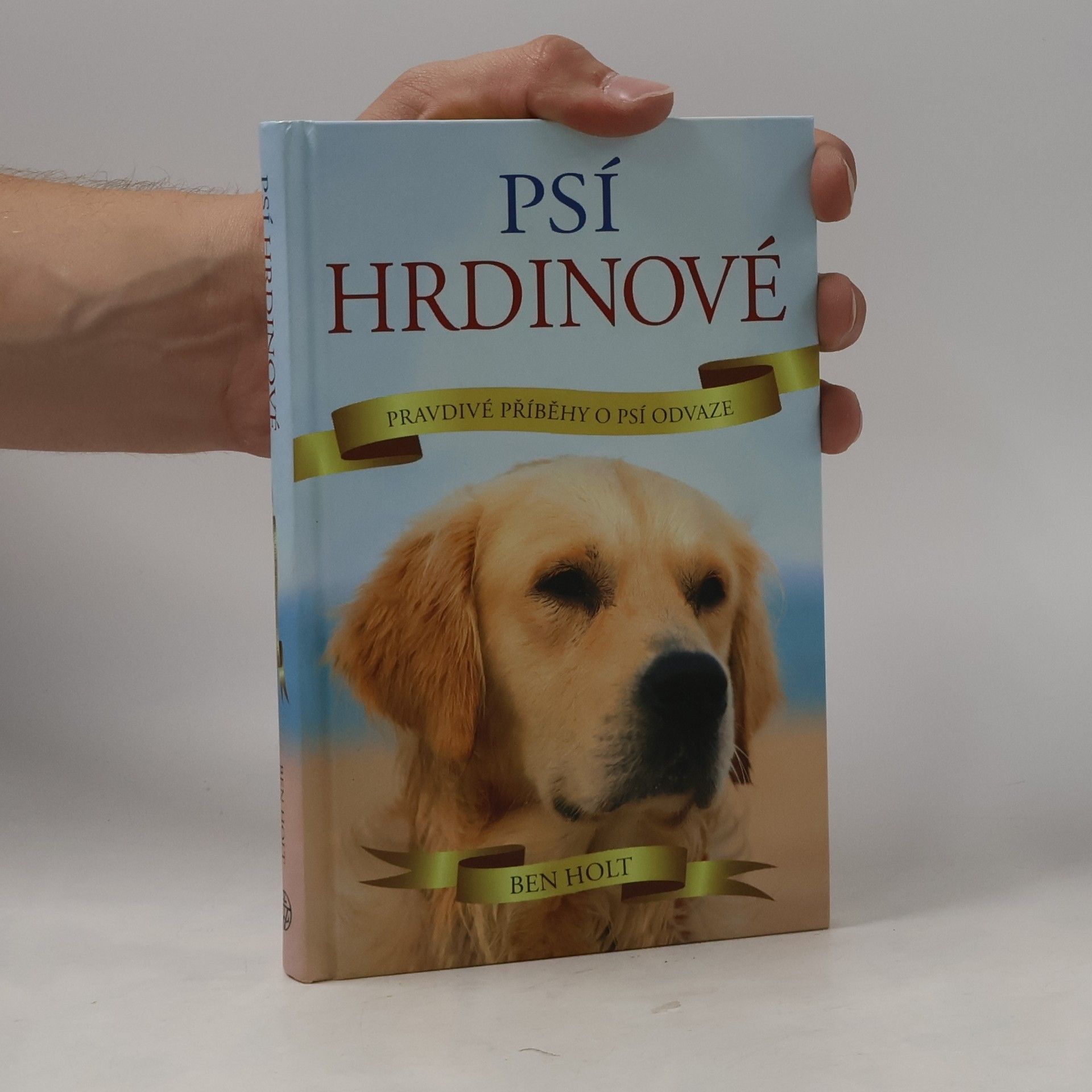 Ben Holt Psí hrdinové : pravdivé příběhy o psí odvaze