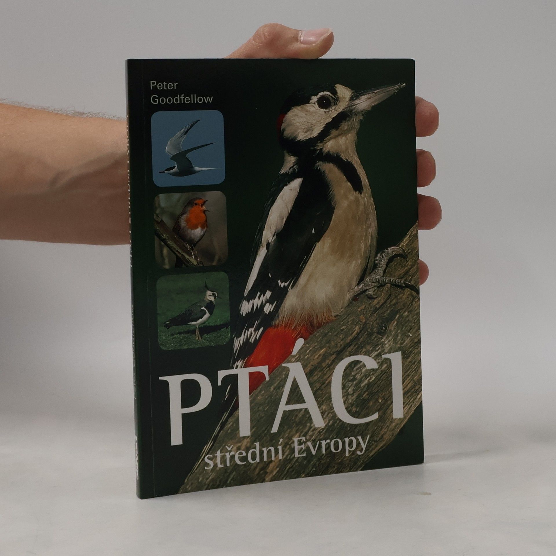 Peter Goodfellow Ptáci střední Evropy