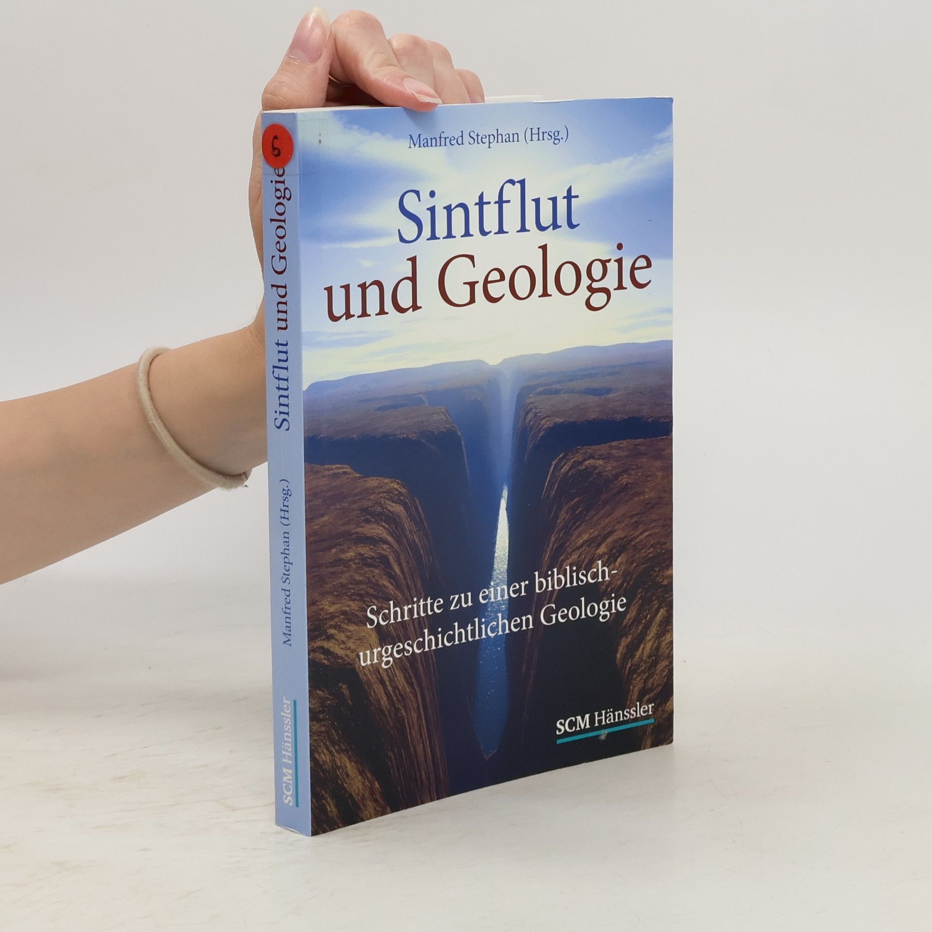 Manfred Stephan Sintflut und Geologie