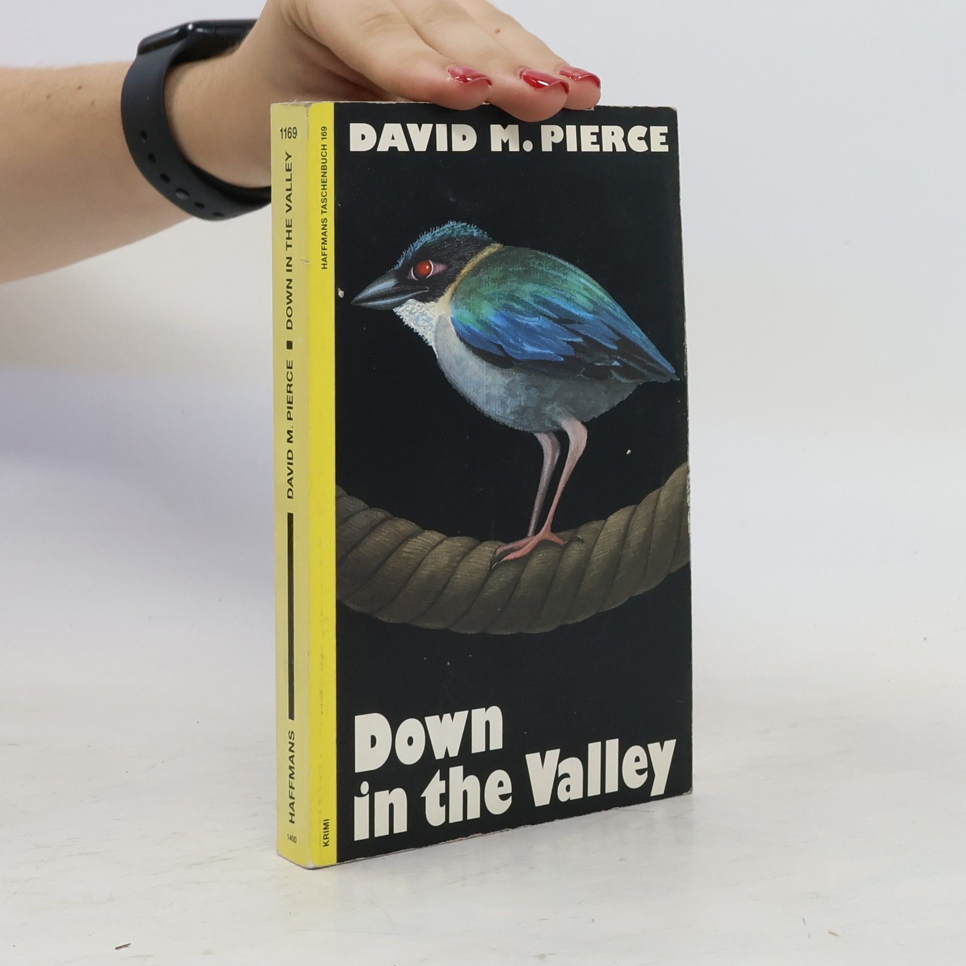 David M. Pierce Down in the Valley