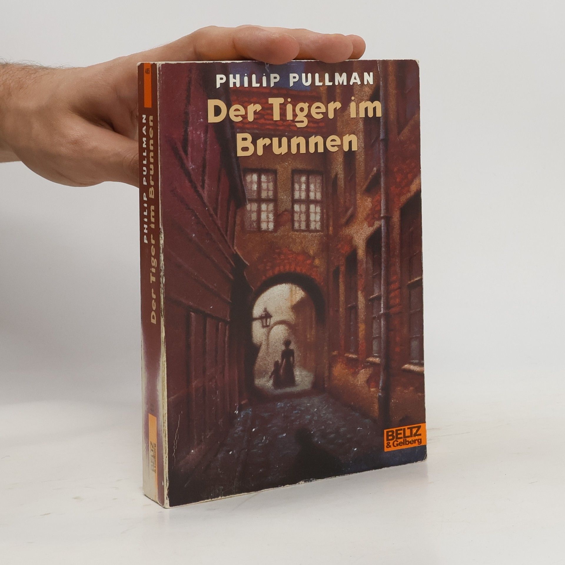 Philip Pullman Der Tiger im Brunnen