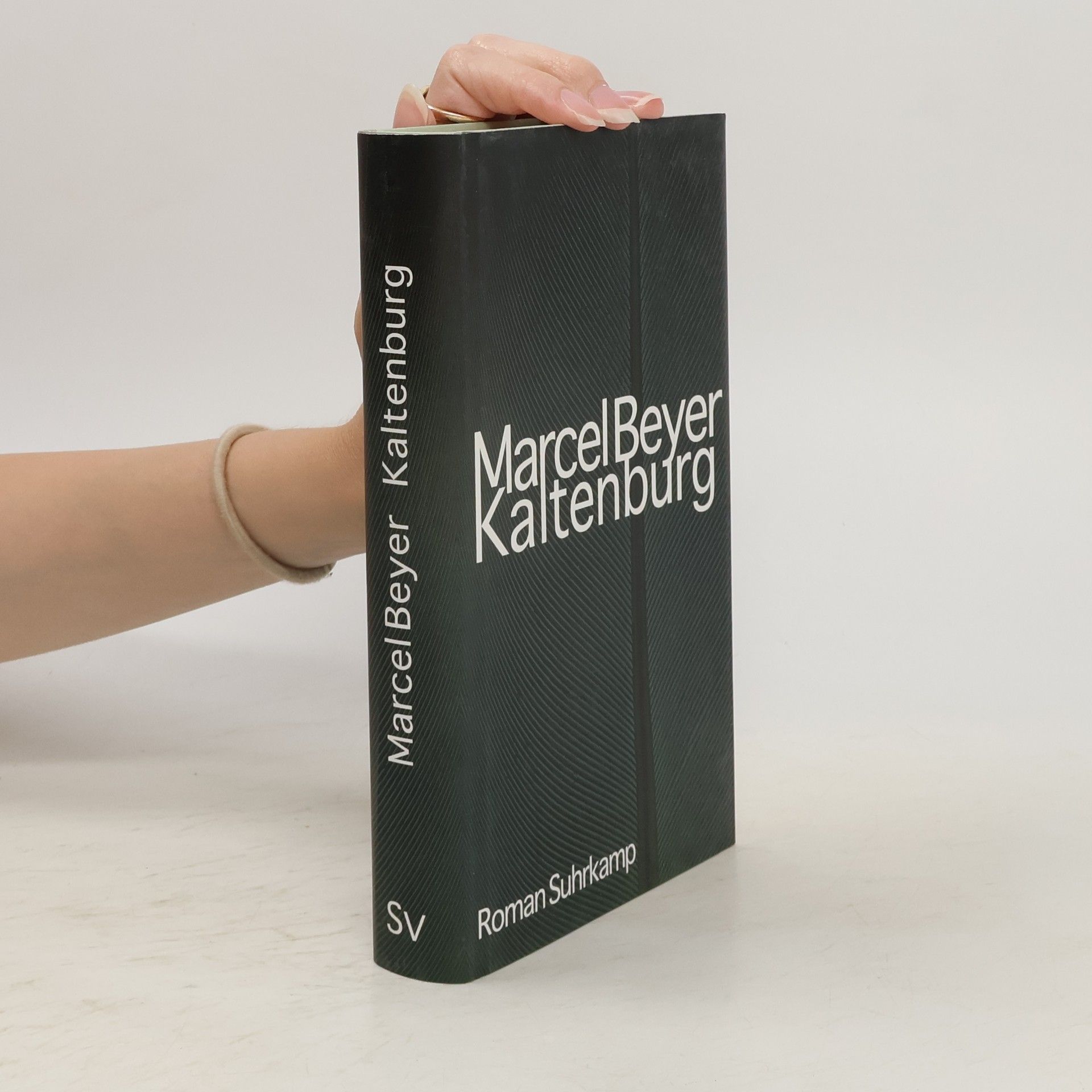Marcel Beyer Kaltenburg