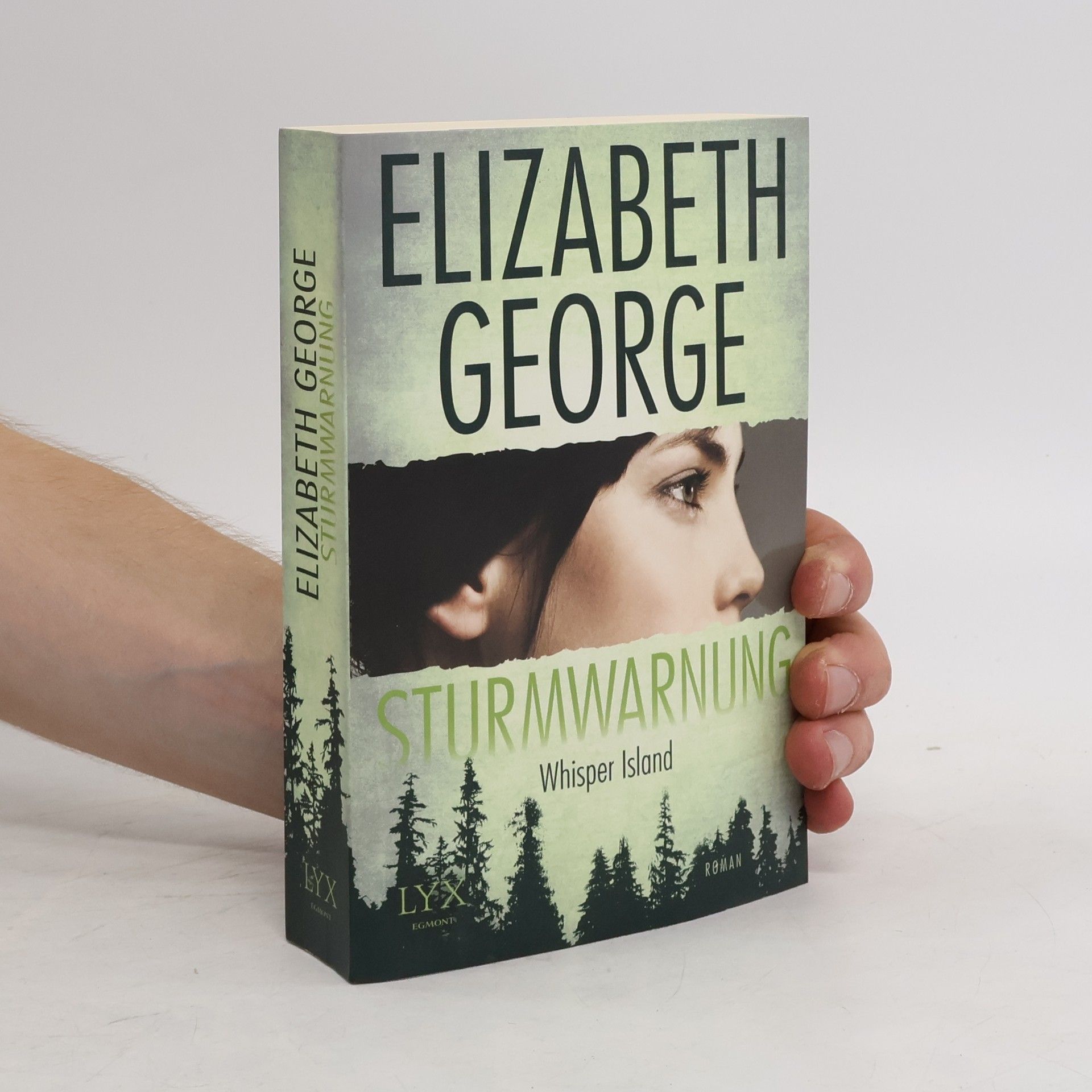 Elizabeth George Sturmwarnung: Whisper Island