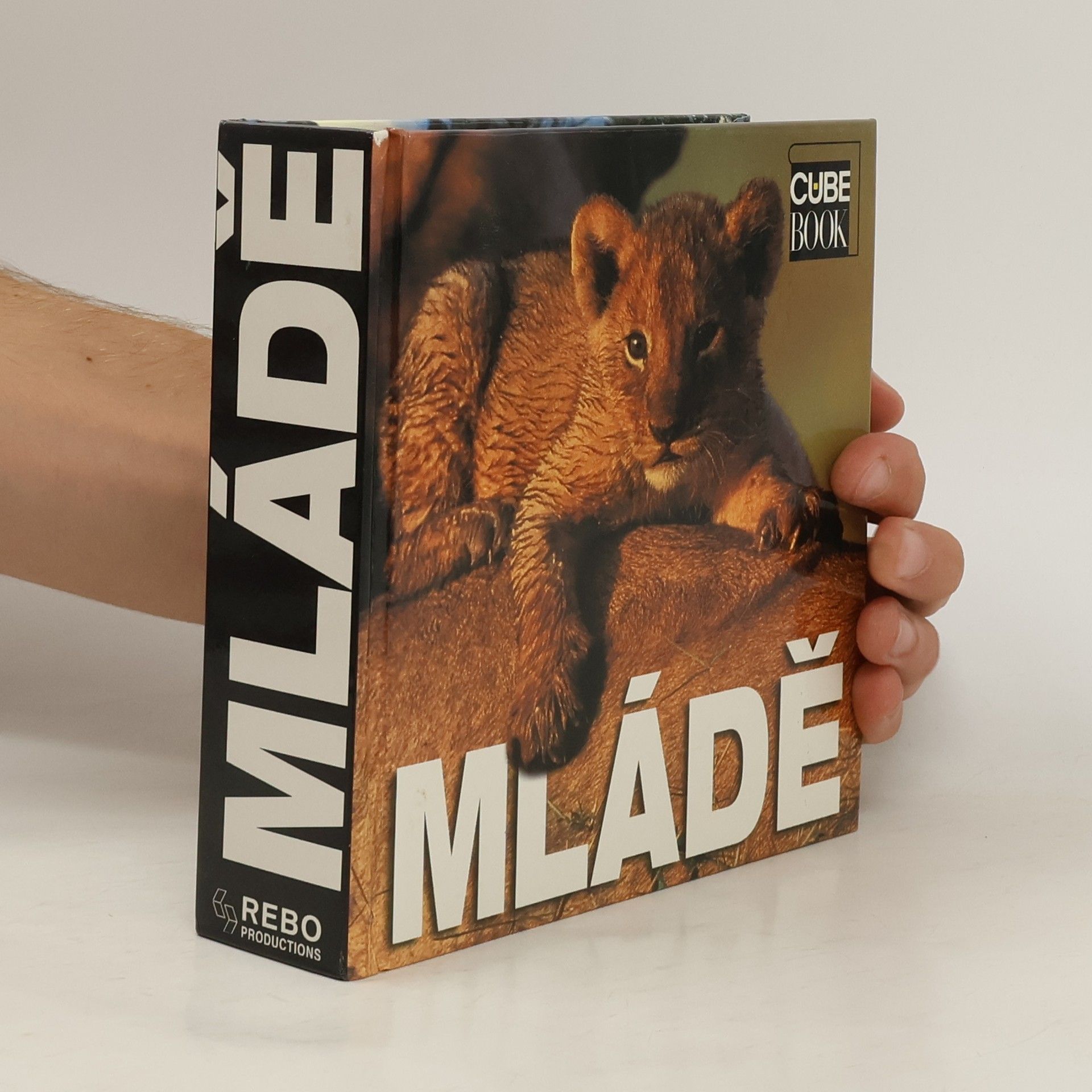 Angela S. Ildos Mládě