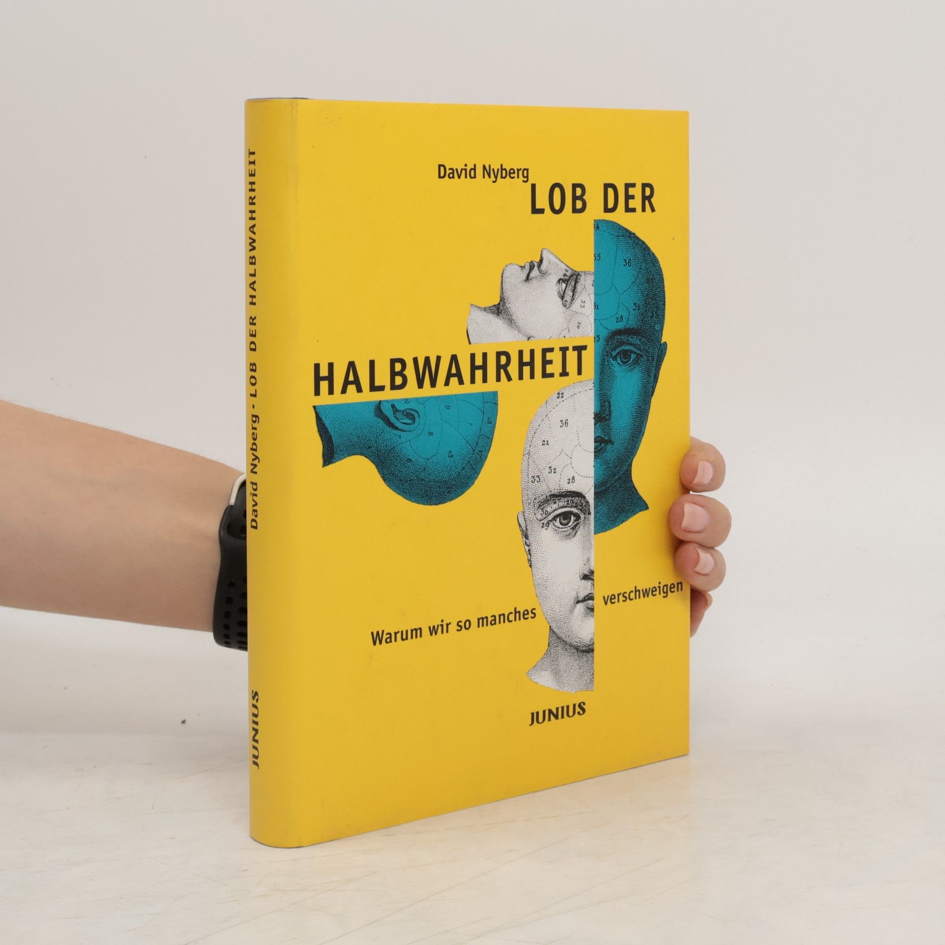 David Nyberg Lob der Halbwahrheit